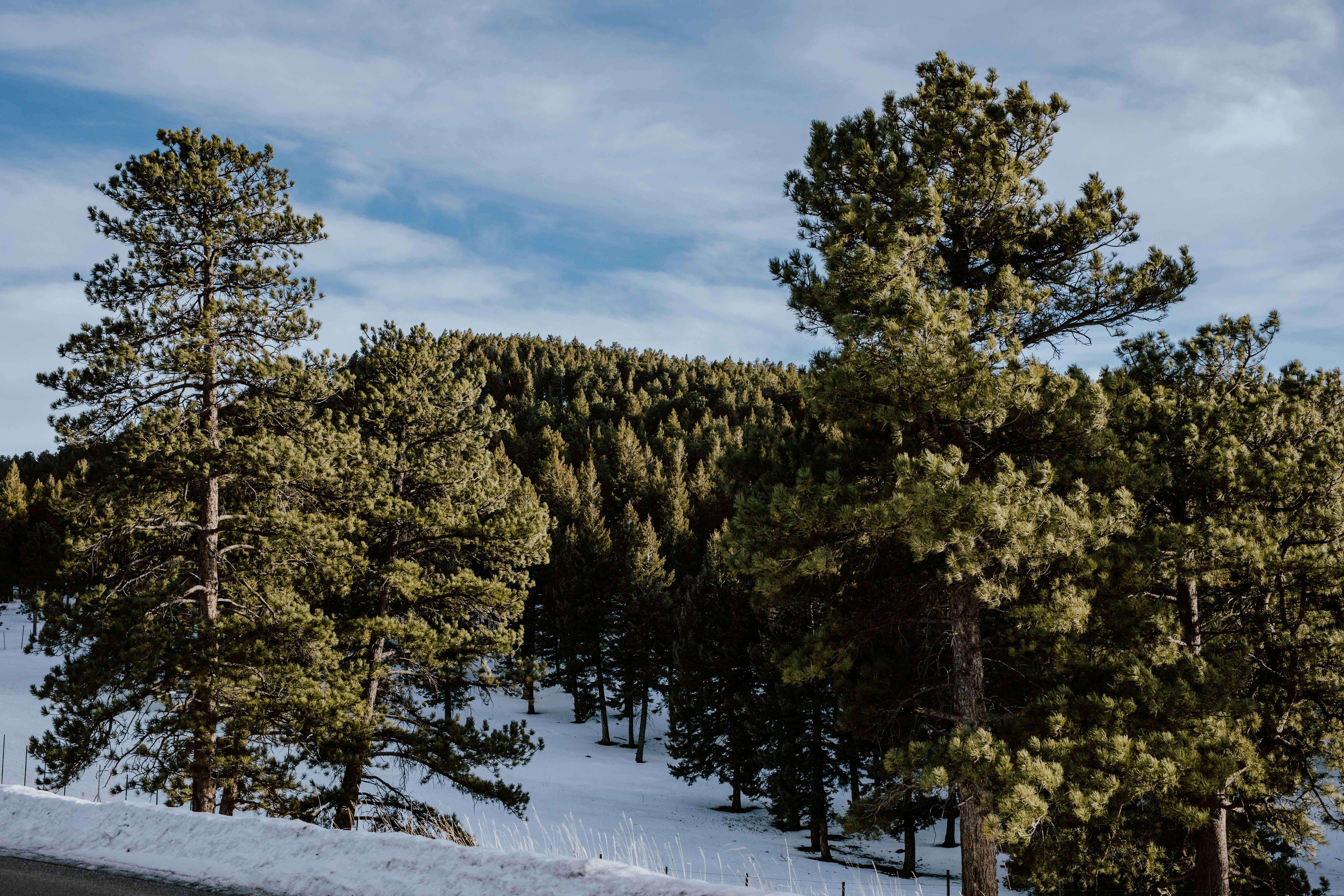 Photo by paularturotorres