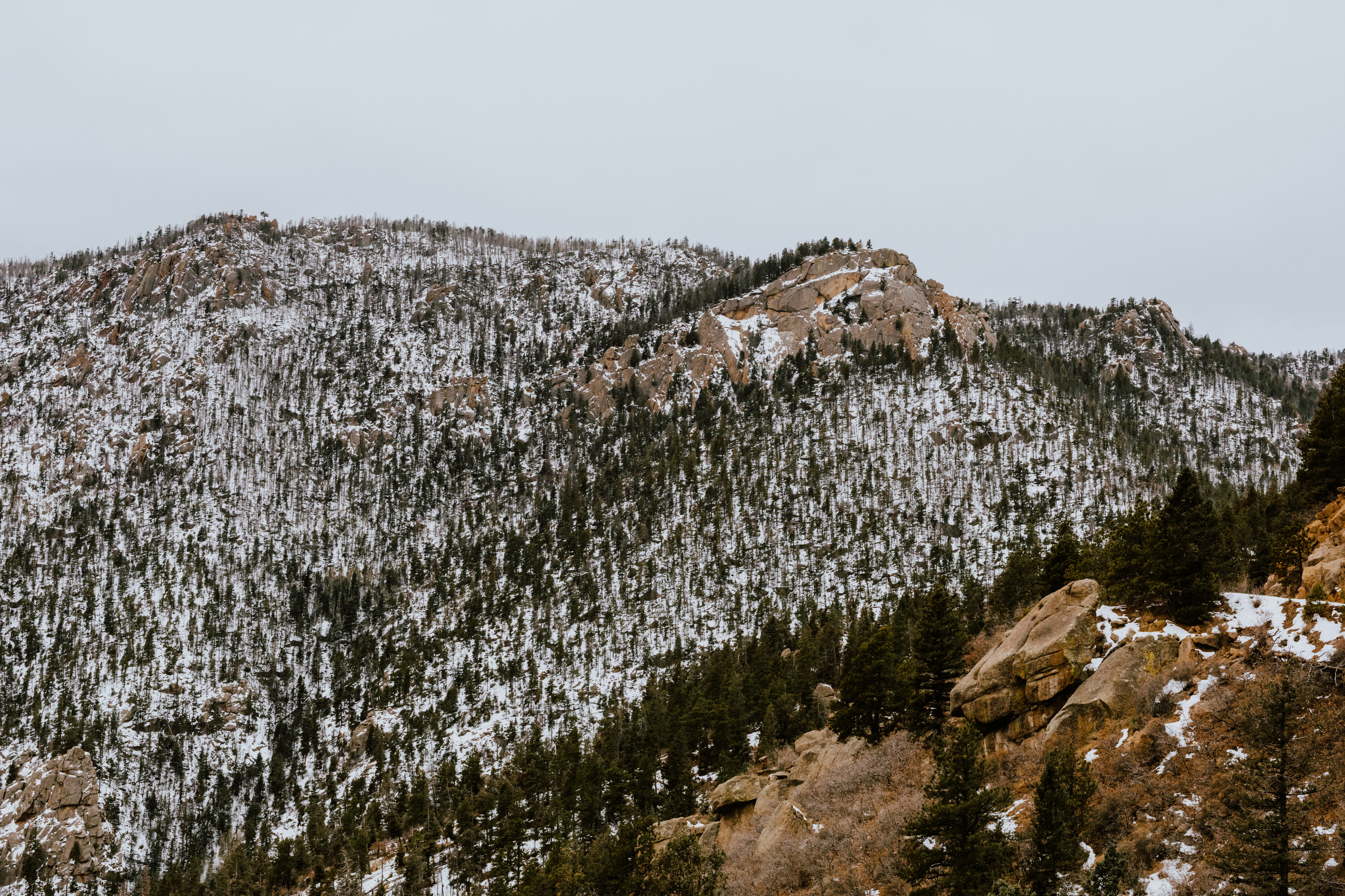 Photo by paularturotorres