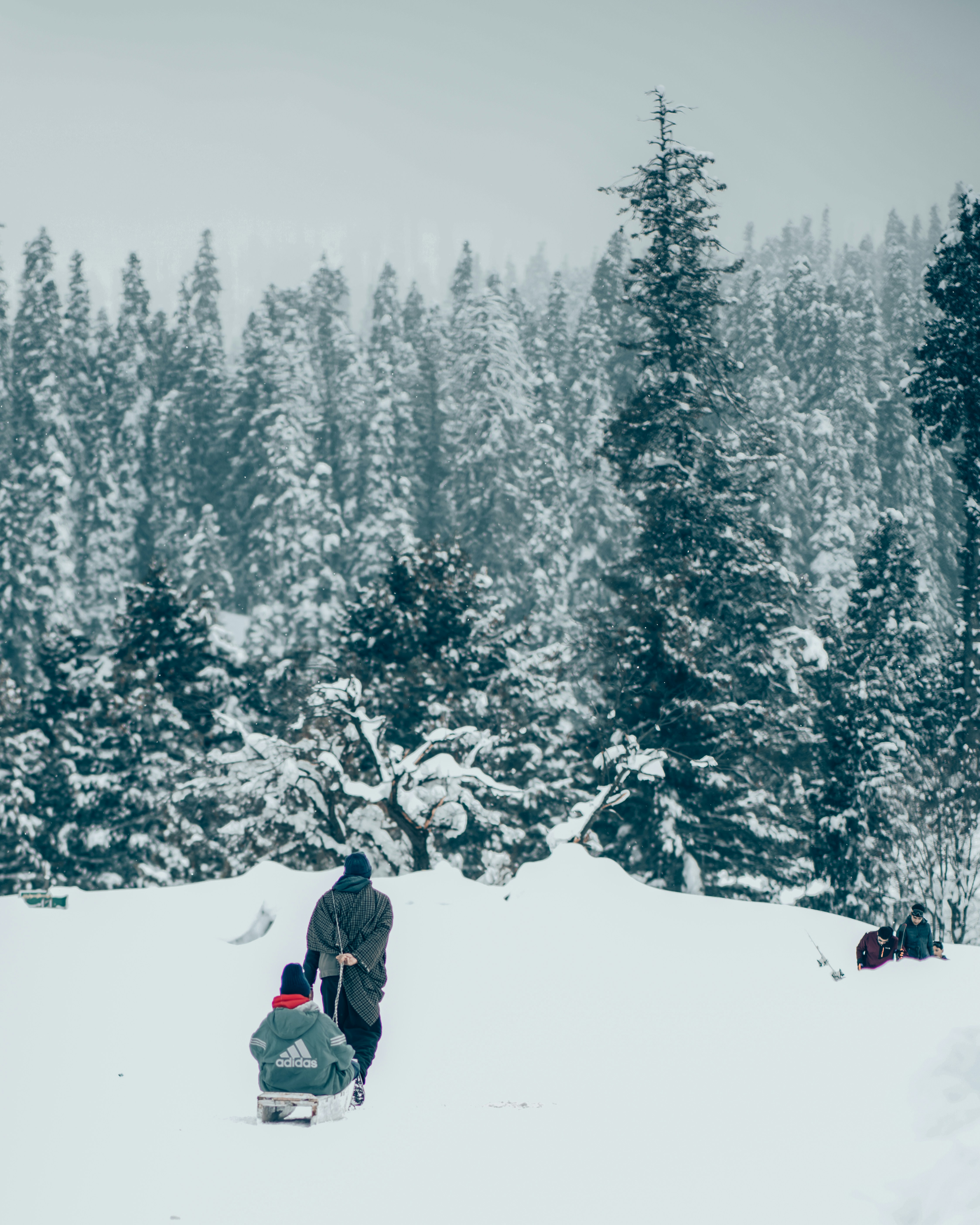 a person walking in the snow with a sled