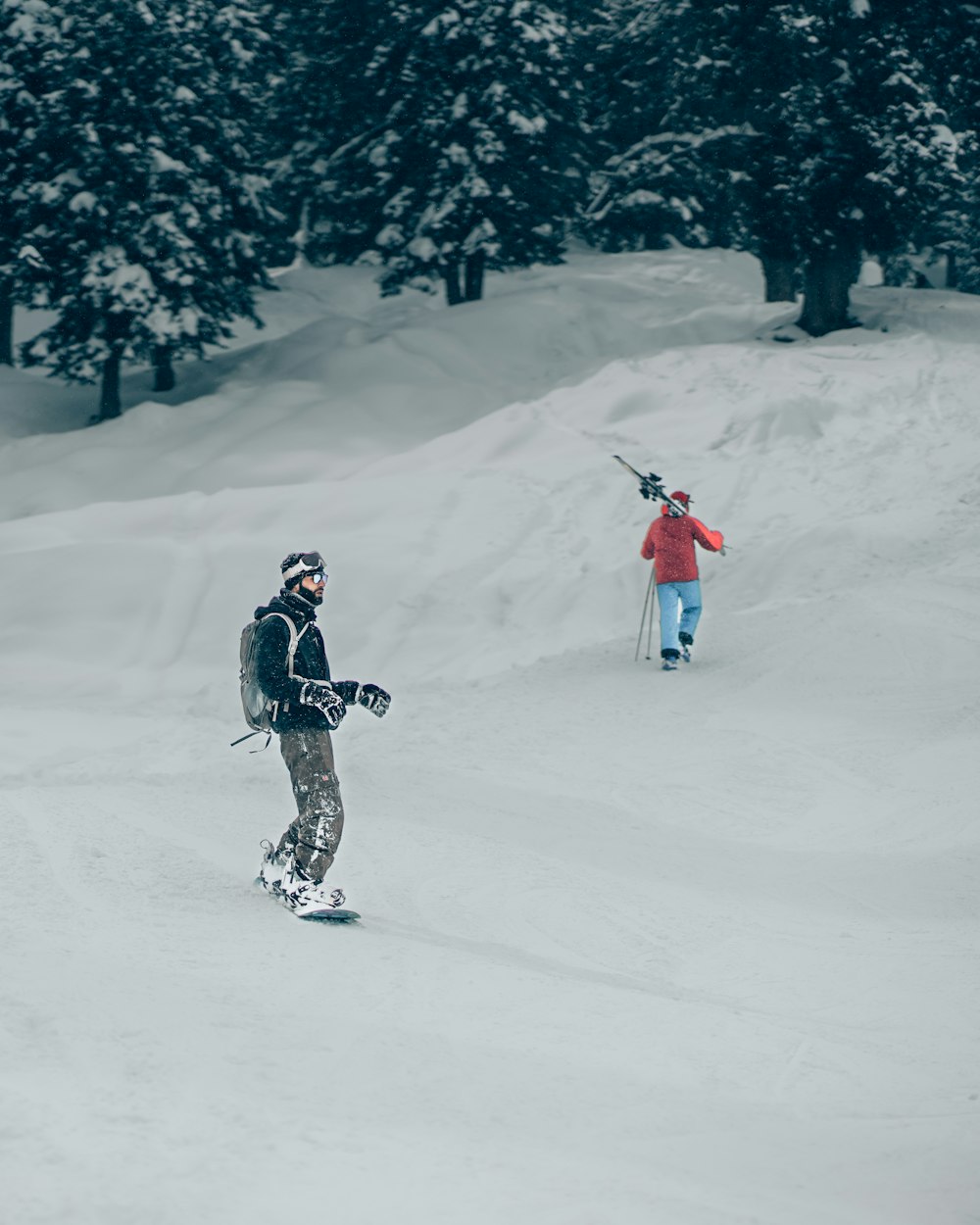 Man in blue and white ice hockey jersey and blue pants riding on ski blades  photo – Free Grey Image on Unsplash
