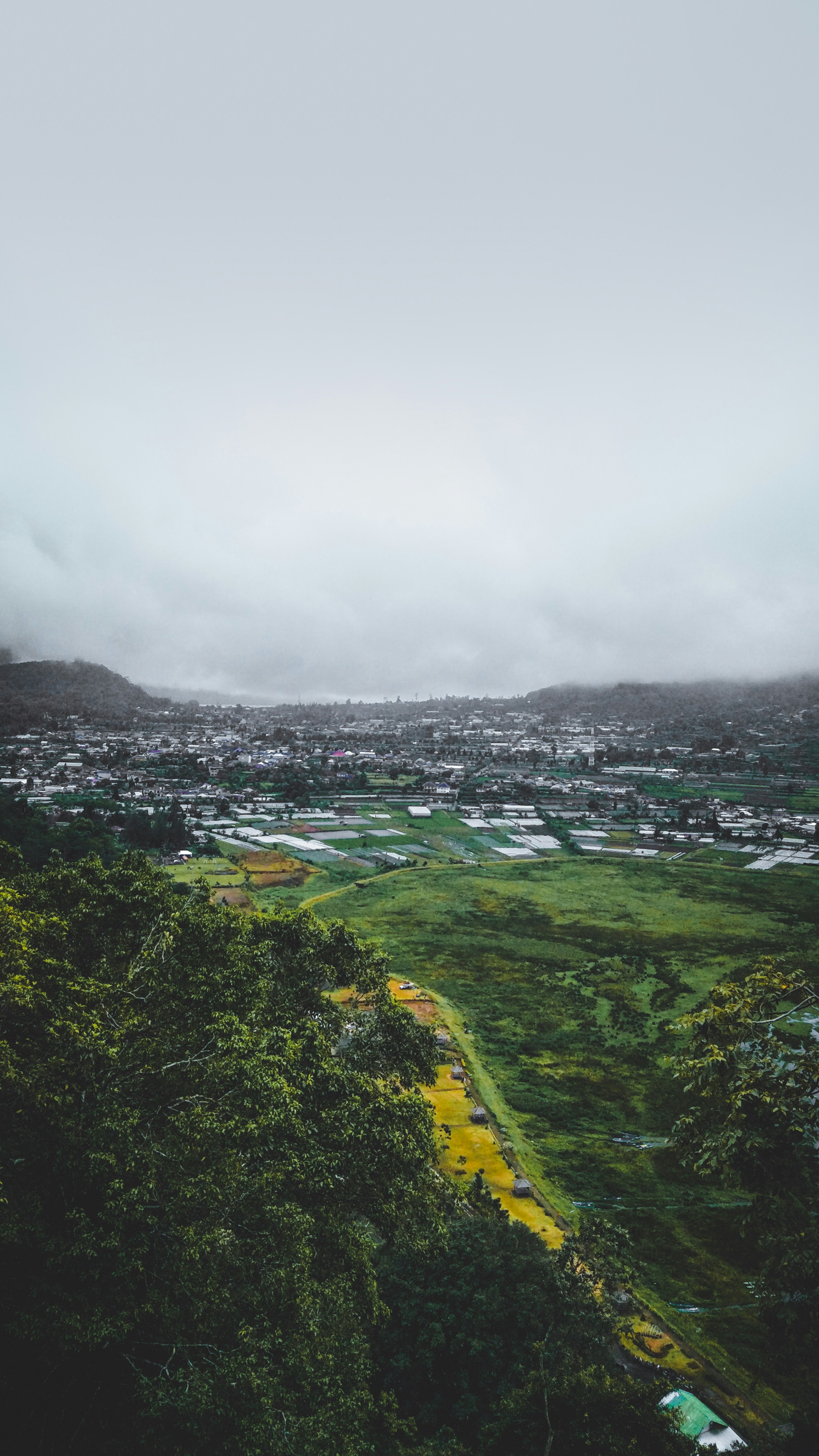 Photo by juliartana4