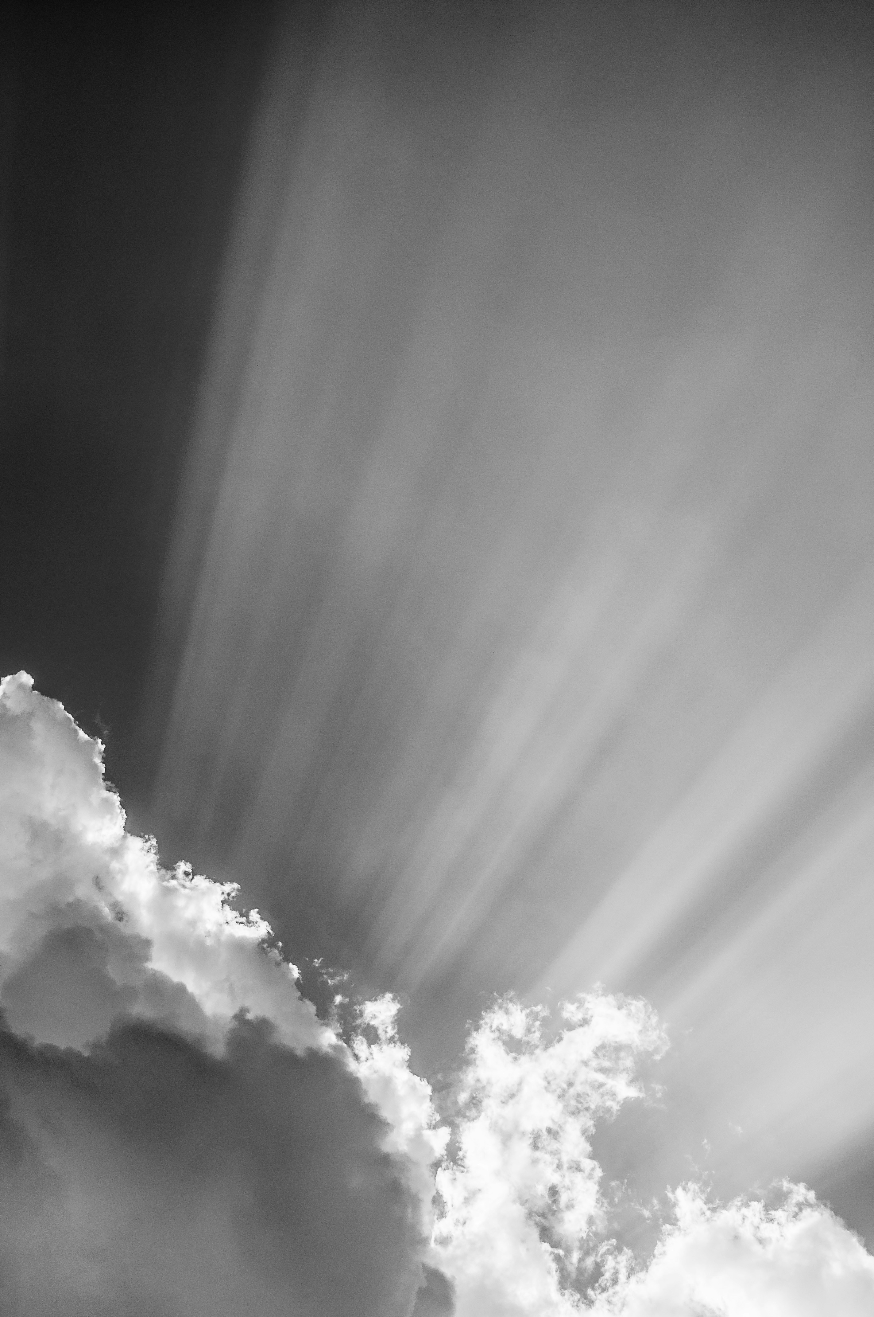 Beaming light in Japan