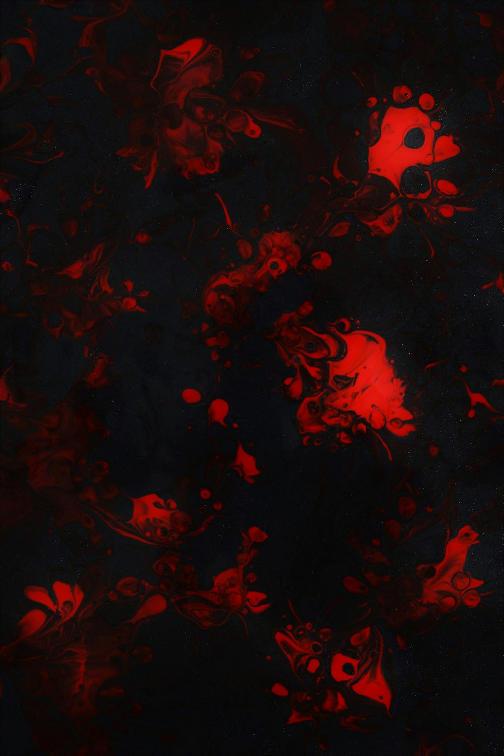 a black and red background with a lot of red flowers
