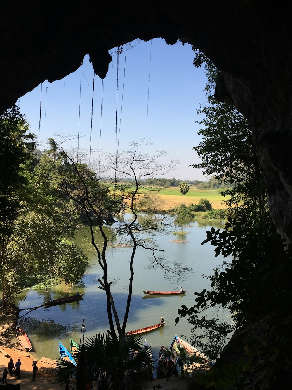 川の上に浮かぶカヌーのグループ