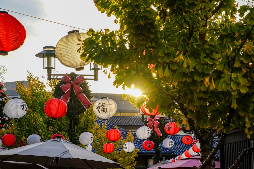 a group of red and white lanterns hanging from a tree