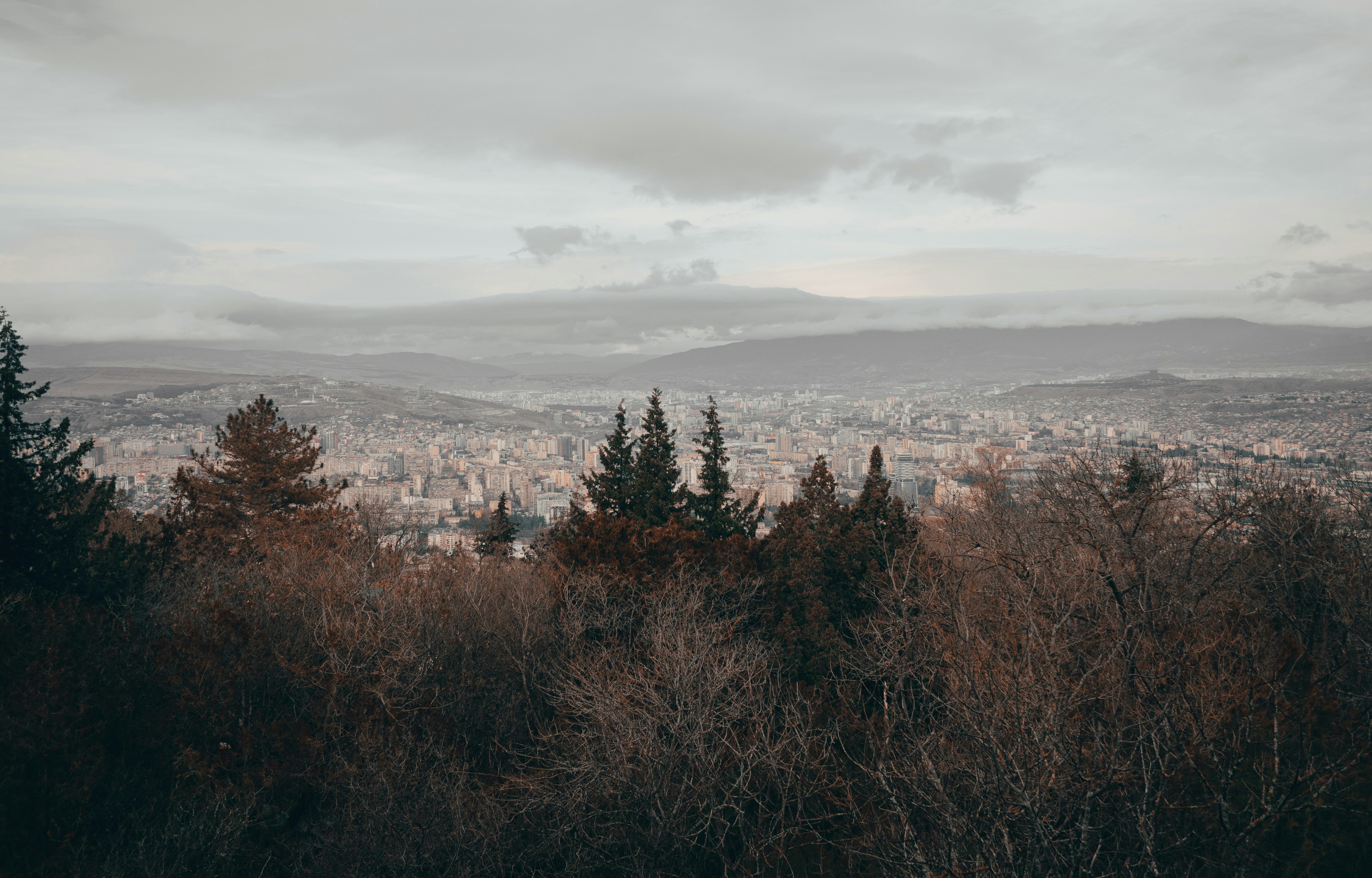 Photo by kingkonggeorge