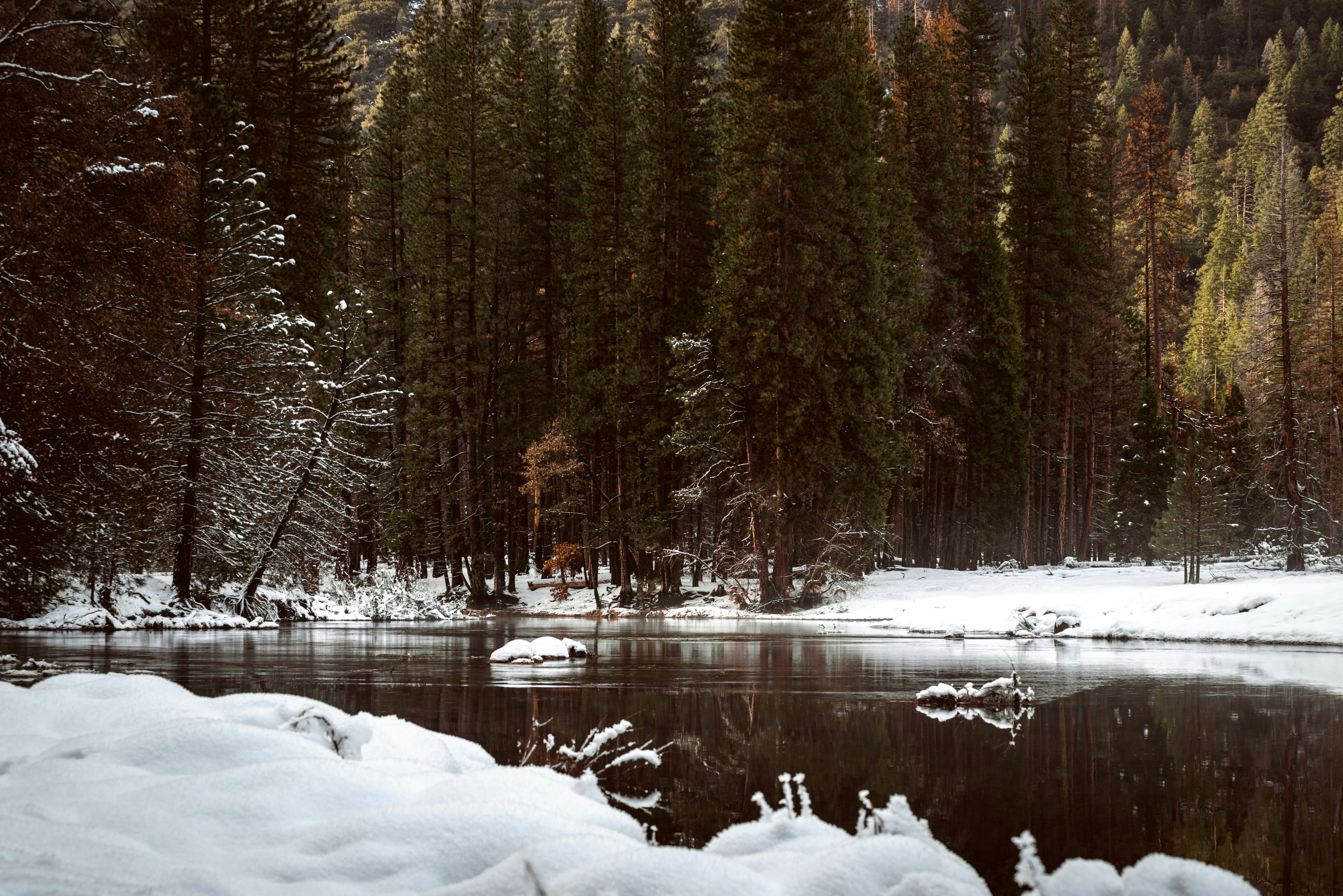 Photo by kalaniparker