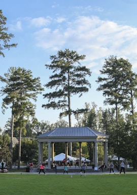 A group of older men engaging in a fitness session outdoors, smiling and exercising together.