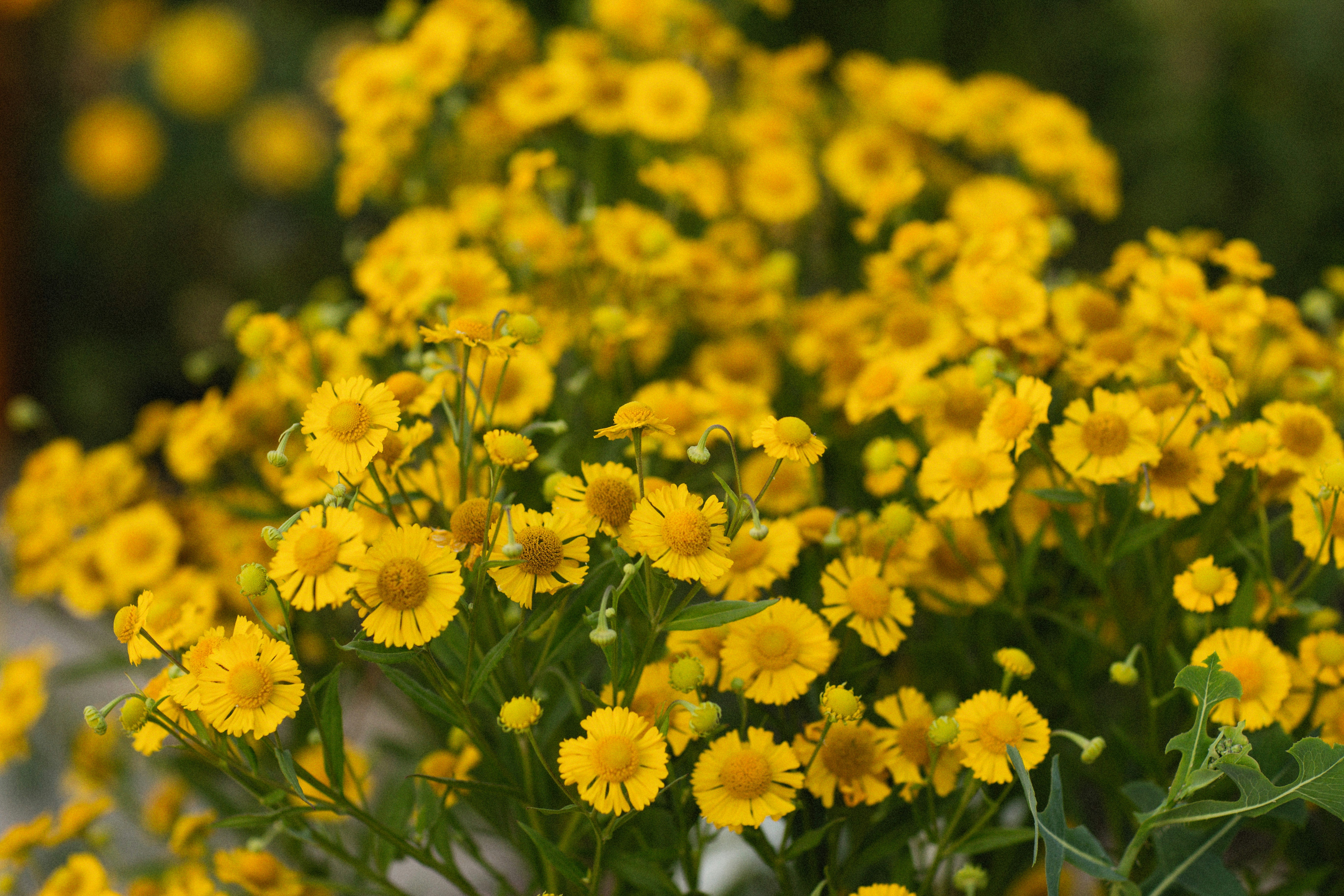 Photo by alexeydemidov