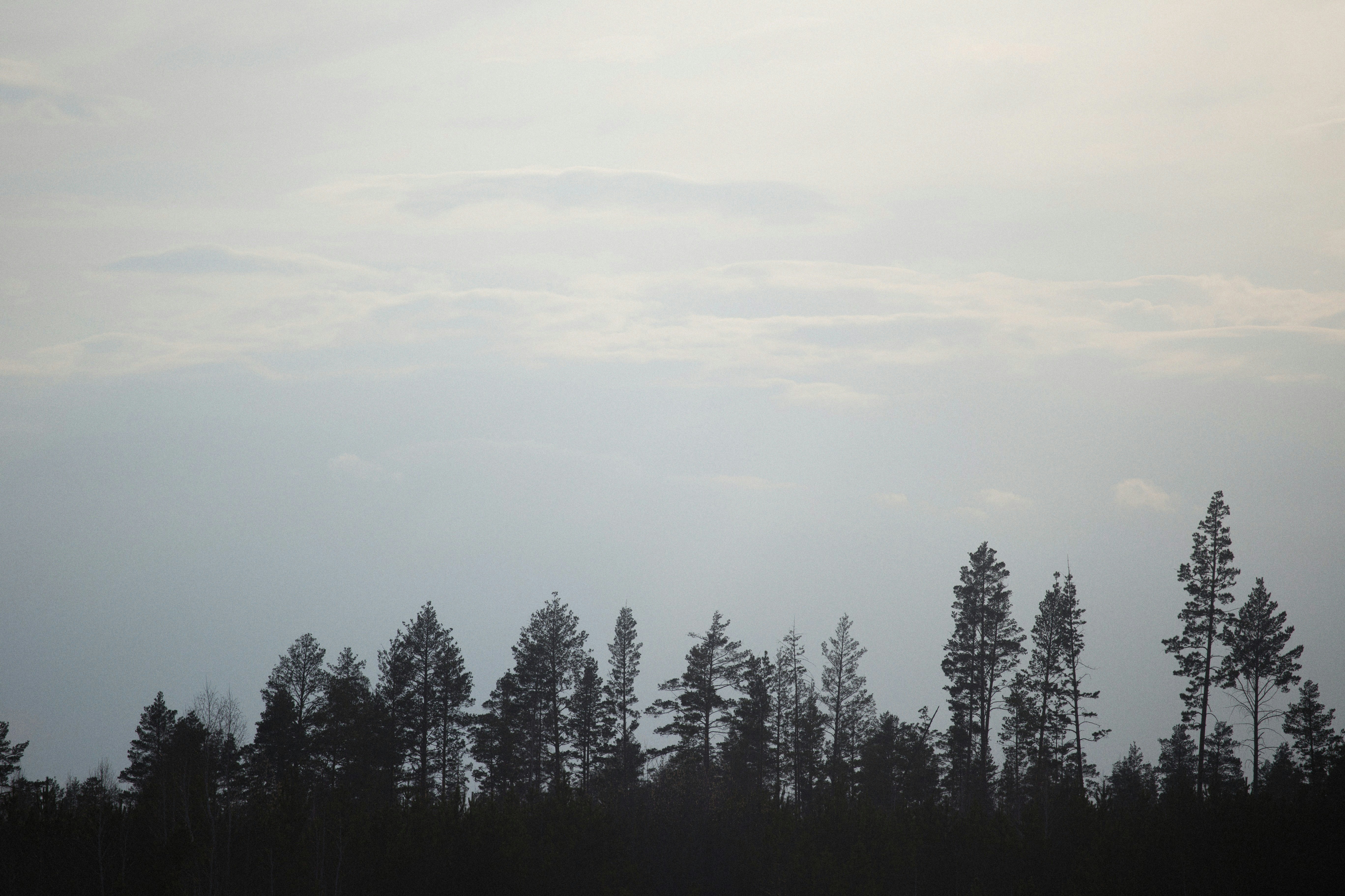 Photo by alexeydemidov