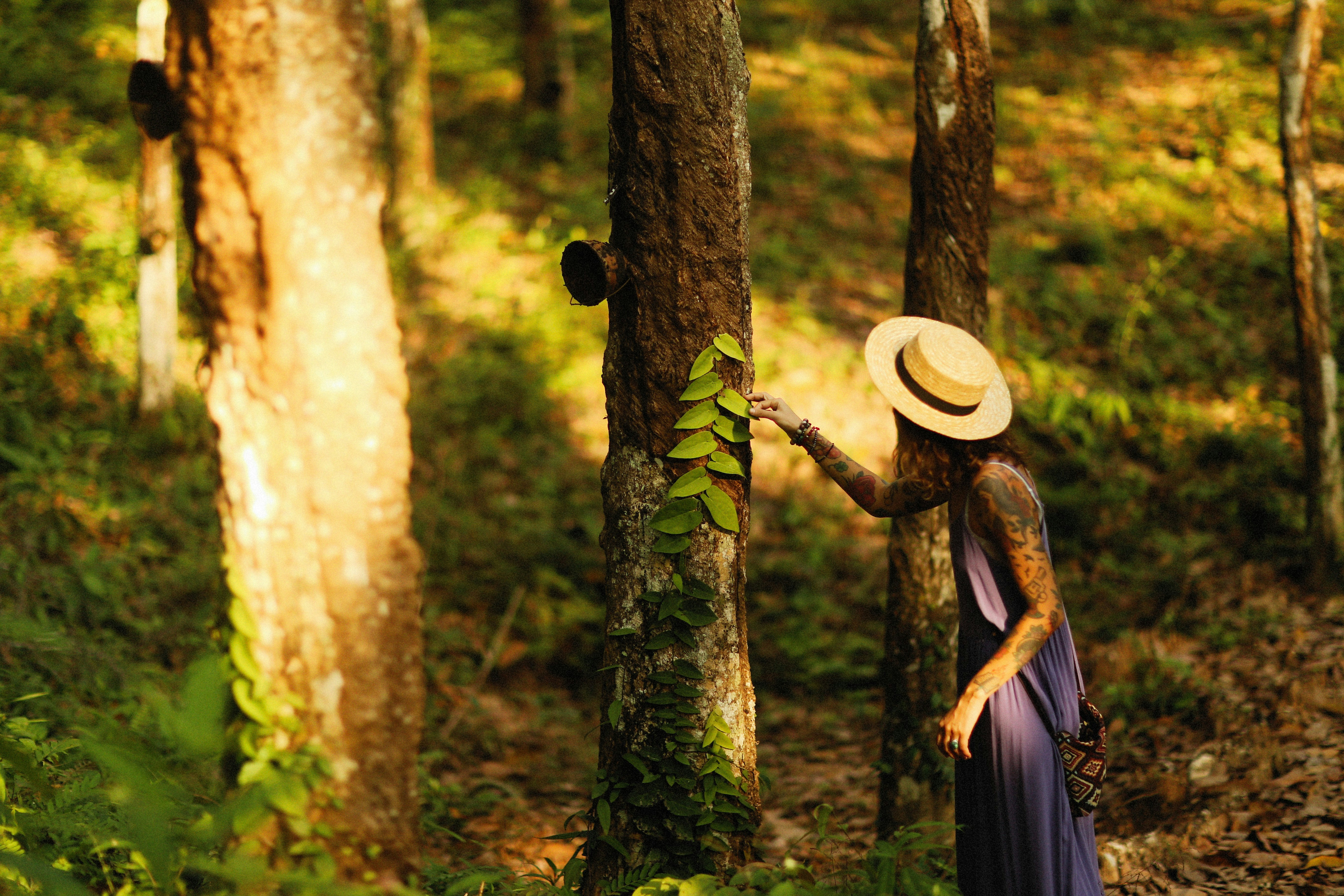 Photo by alexeydemidov