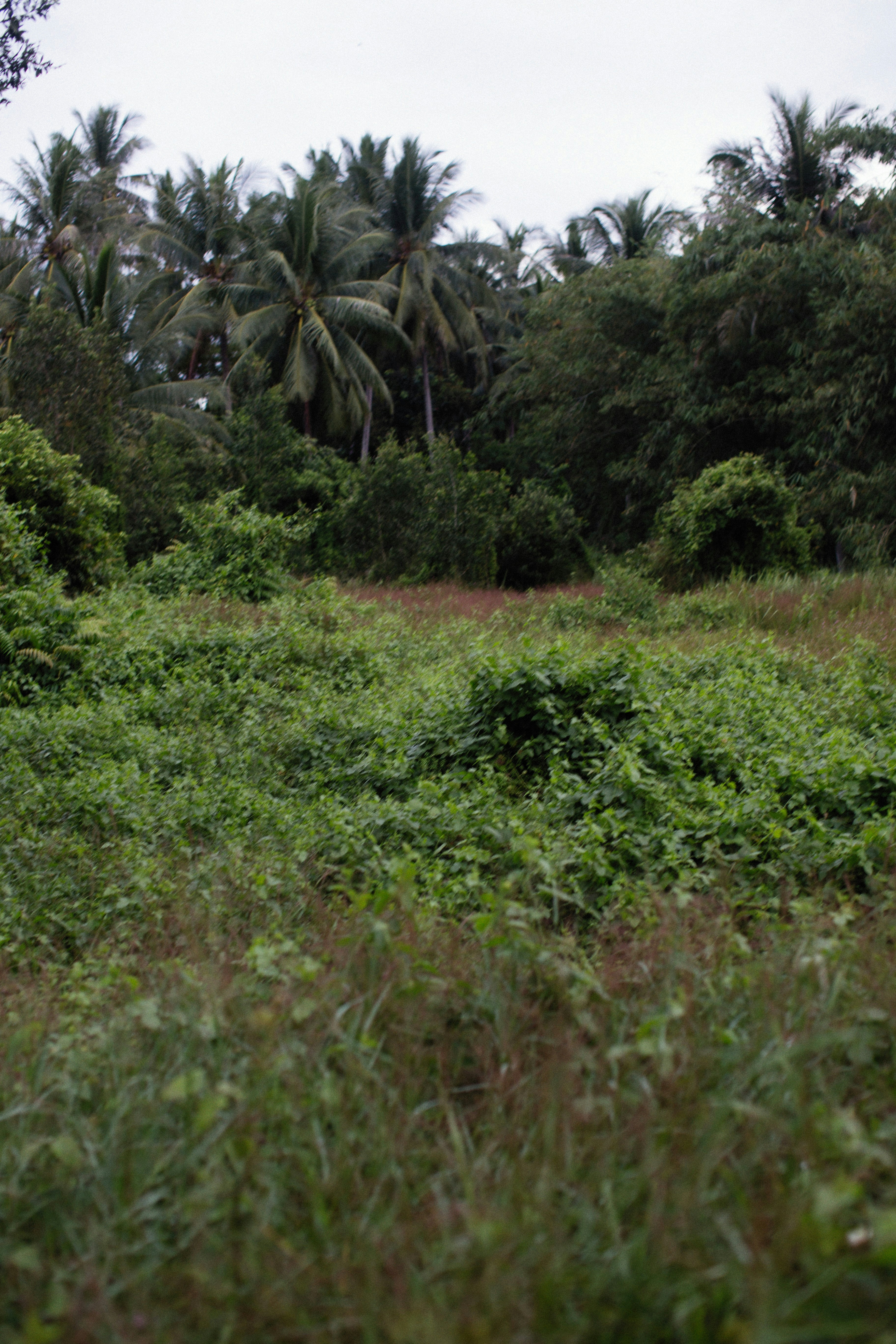 Photo by alexeydemidov