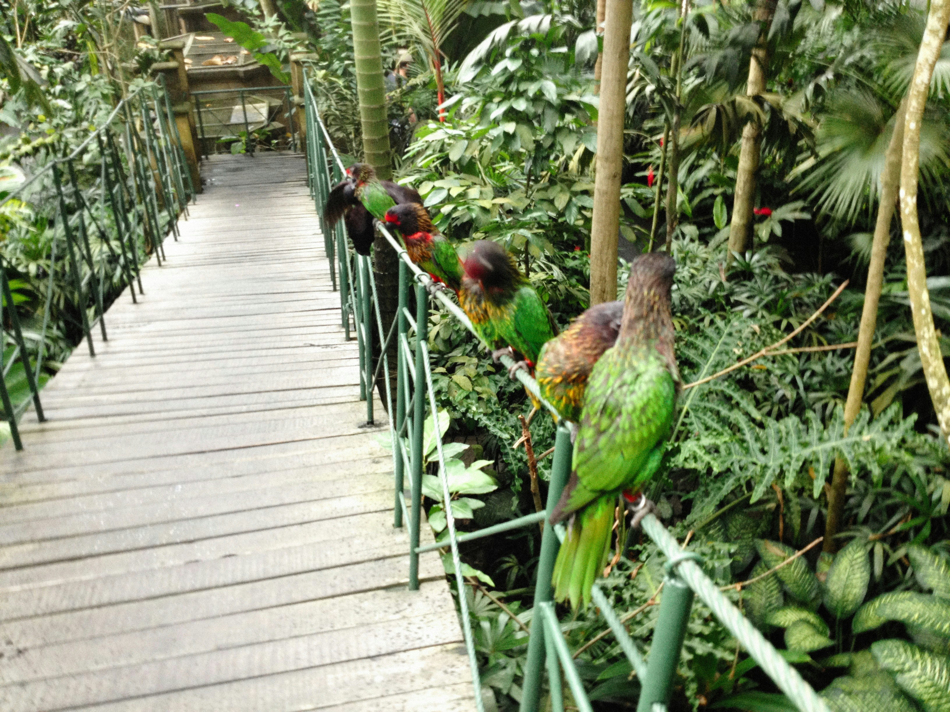 Francis William Bird Park