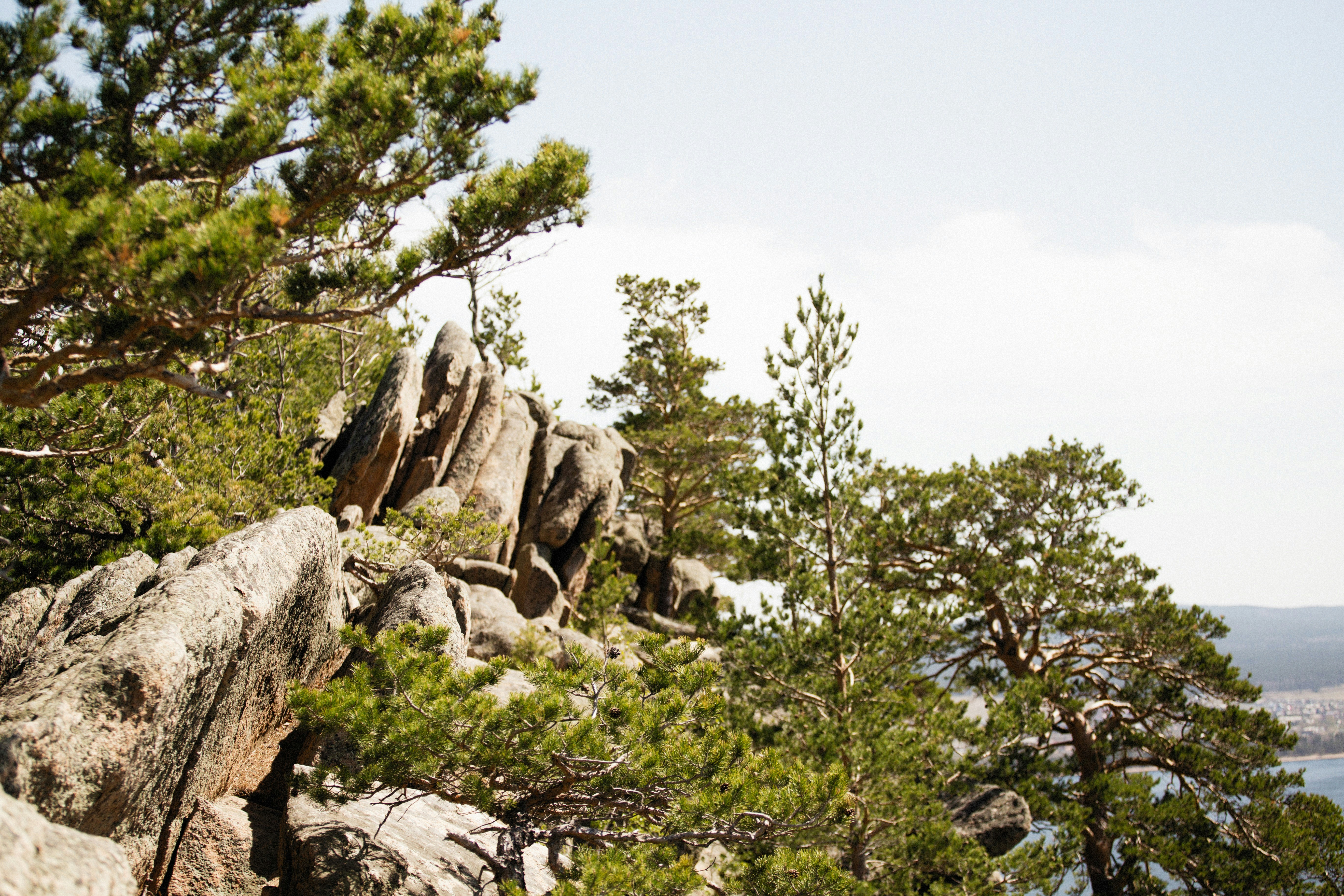 Photo by alexeydemidov