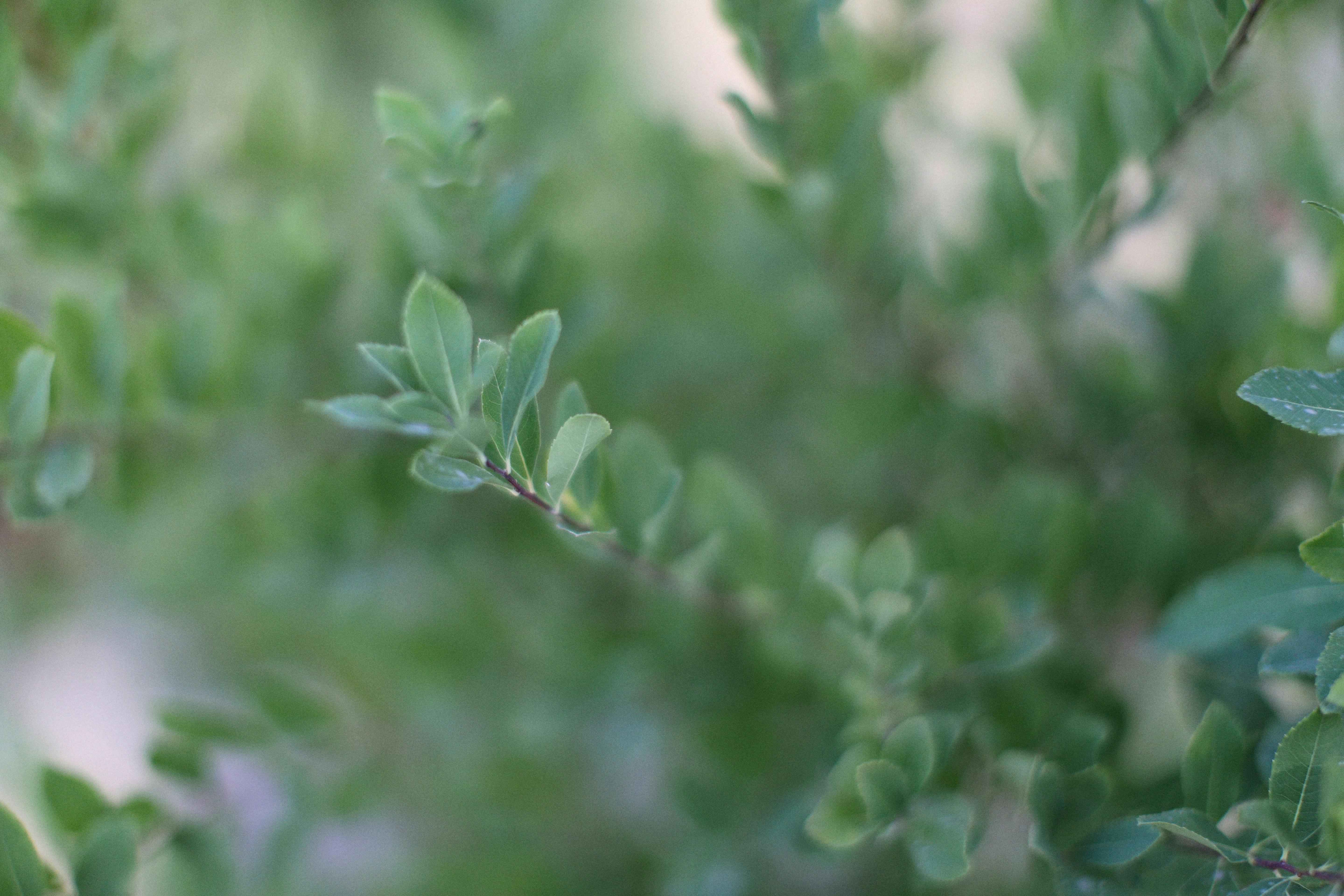 Photo by alexeydemidov