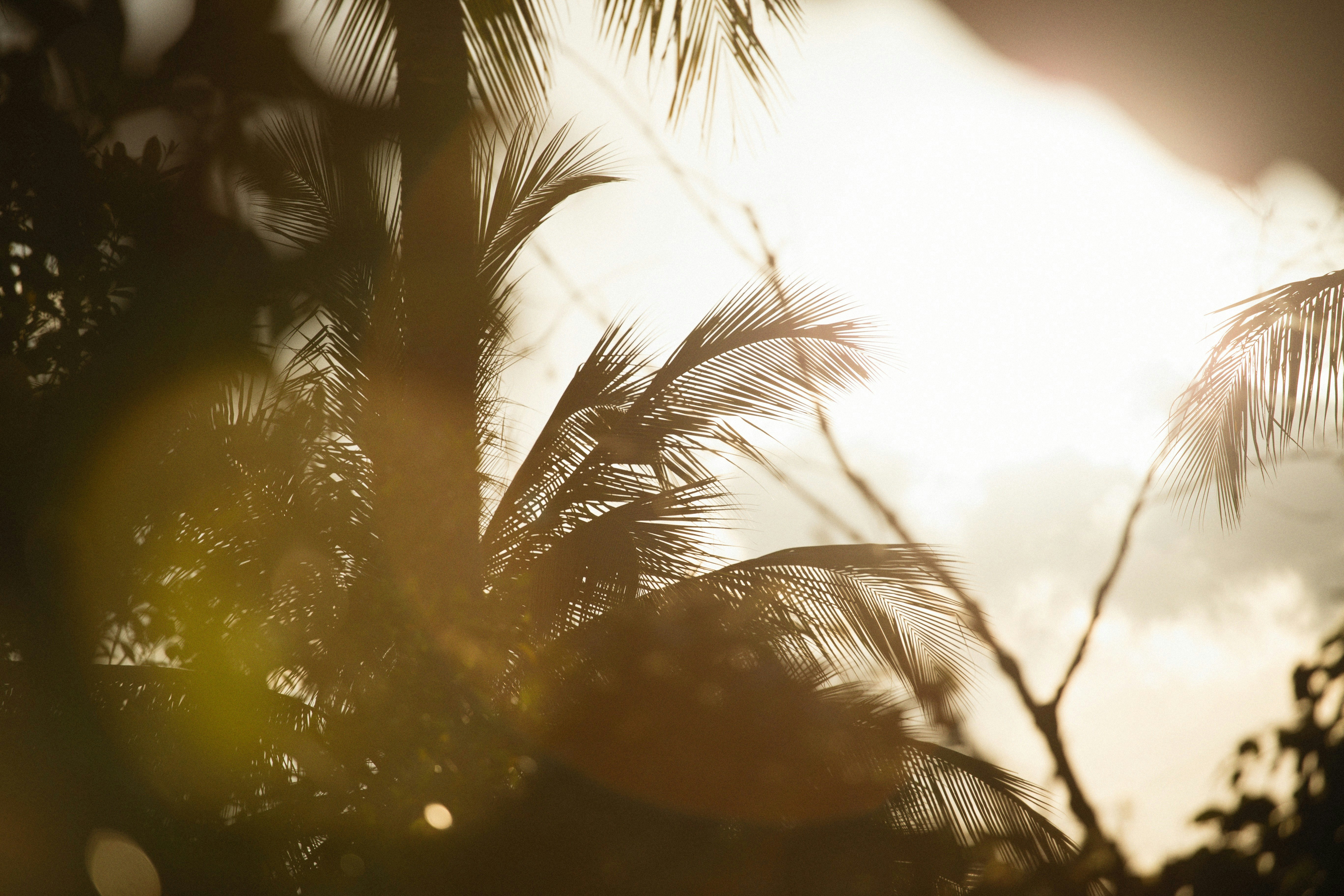 Photo by alexeydemidov