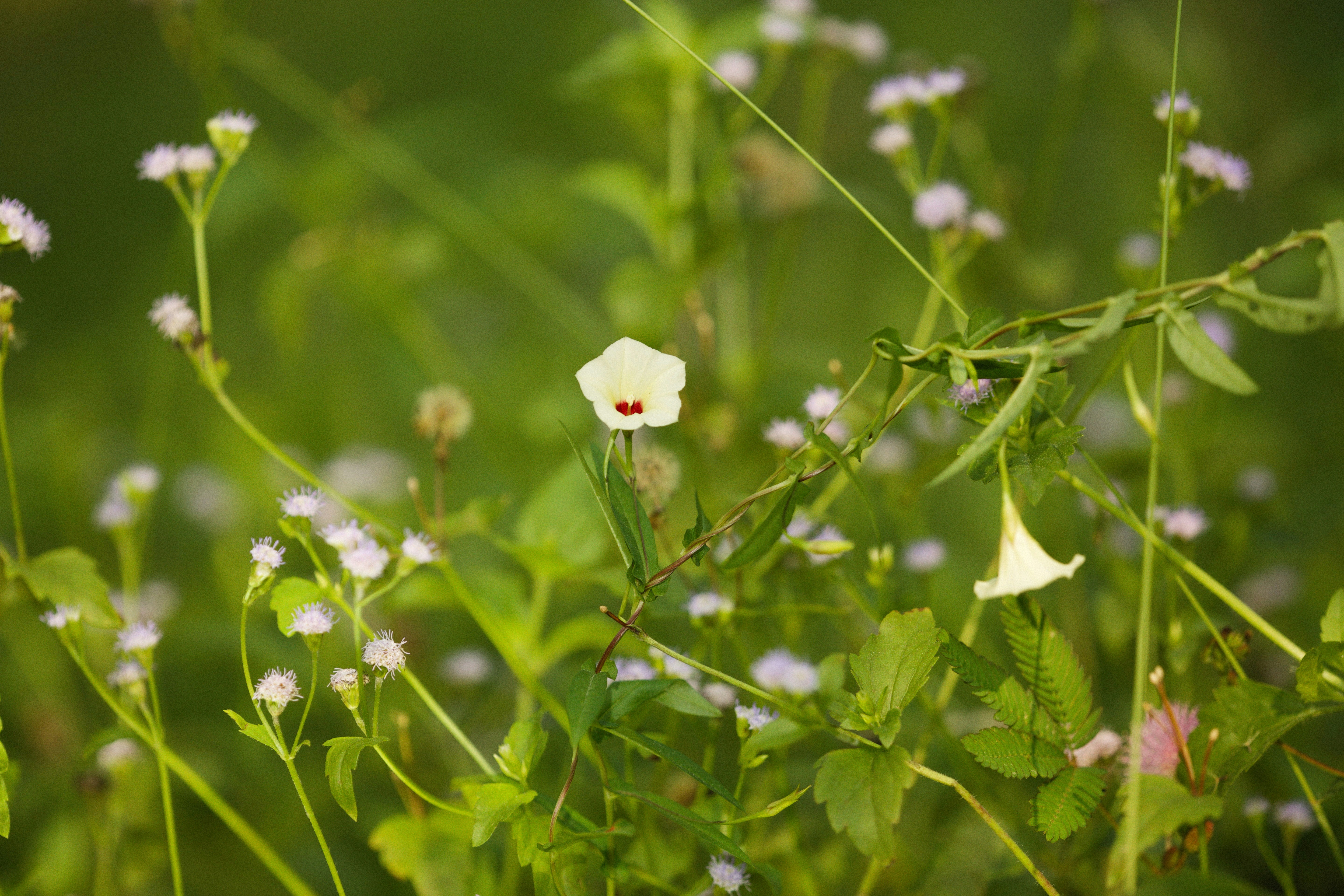 Photo by alexeydemidov