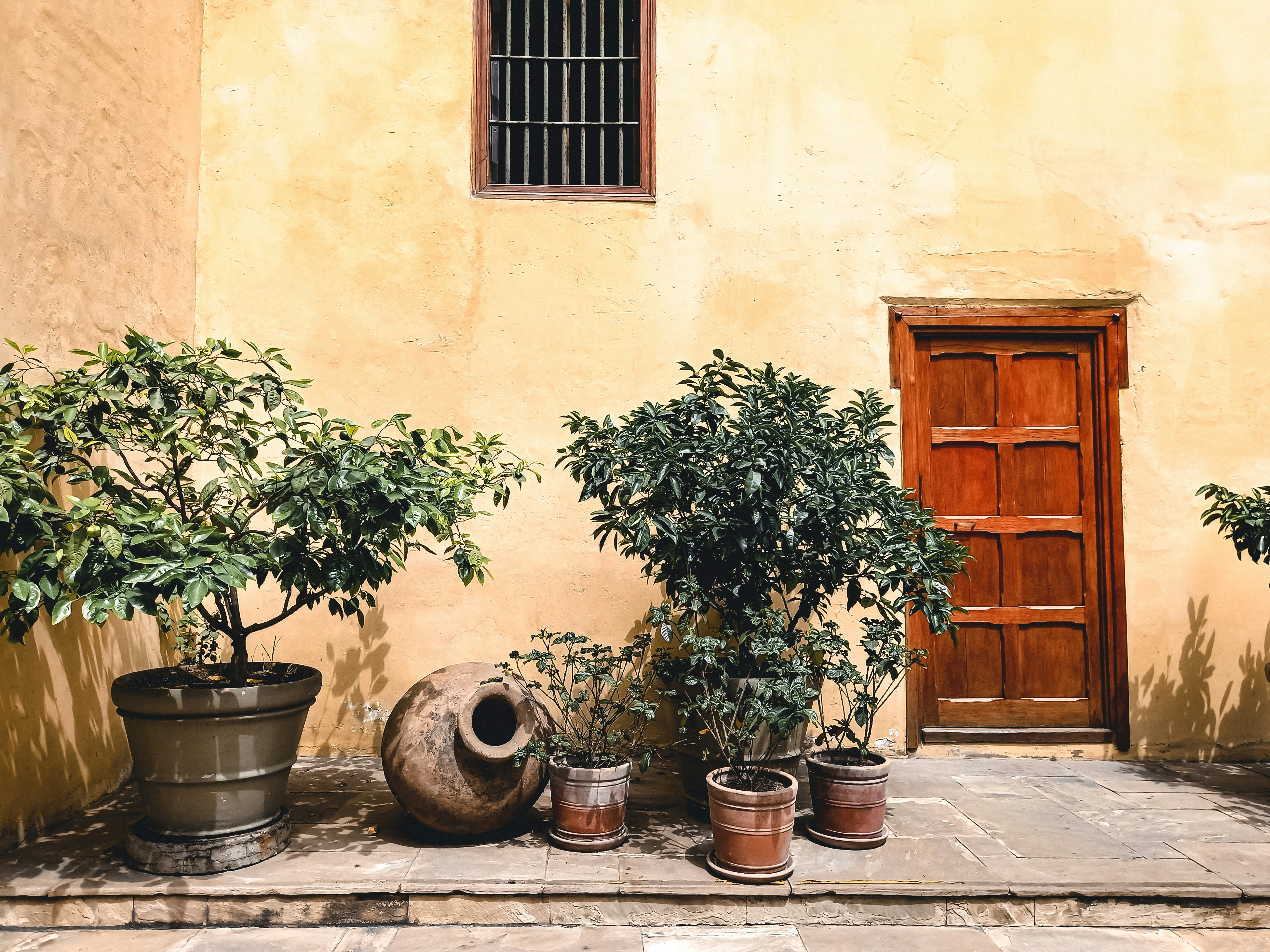 Photo by silvanamool