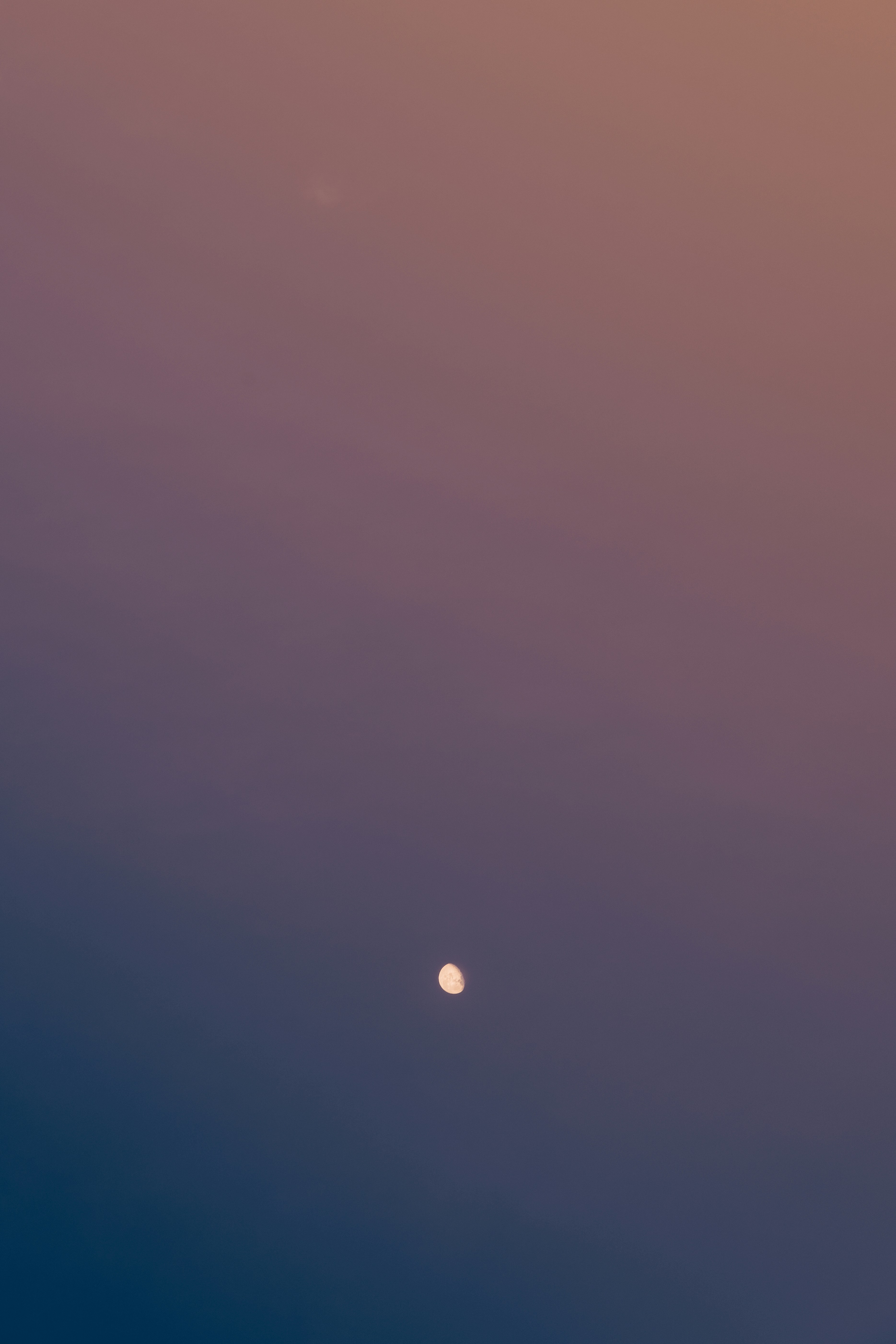 Photo by kalaniparker