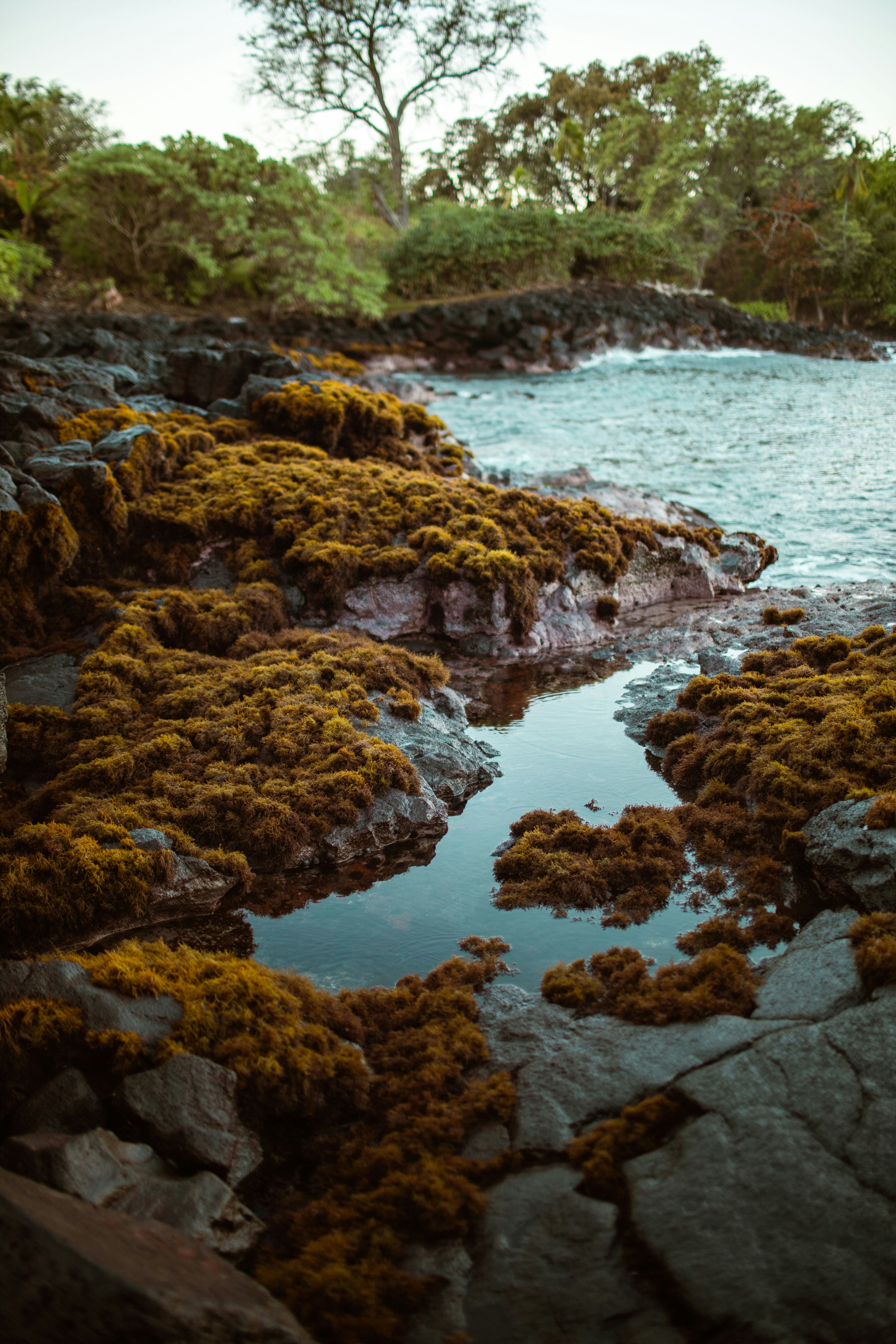 Photo by benjamin_deyoung