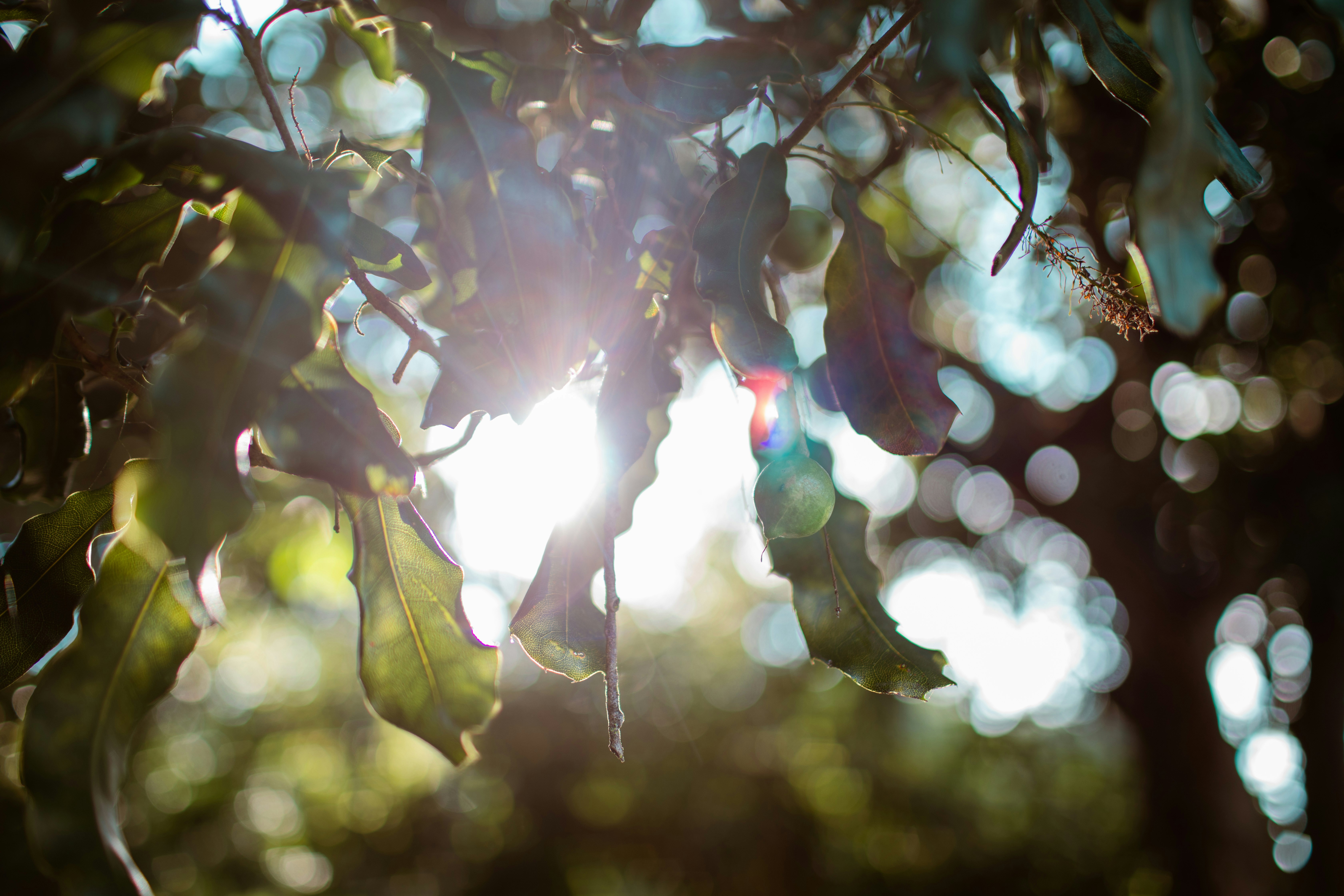 Photo by benjamin_deyoung