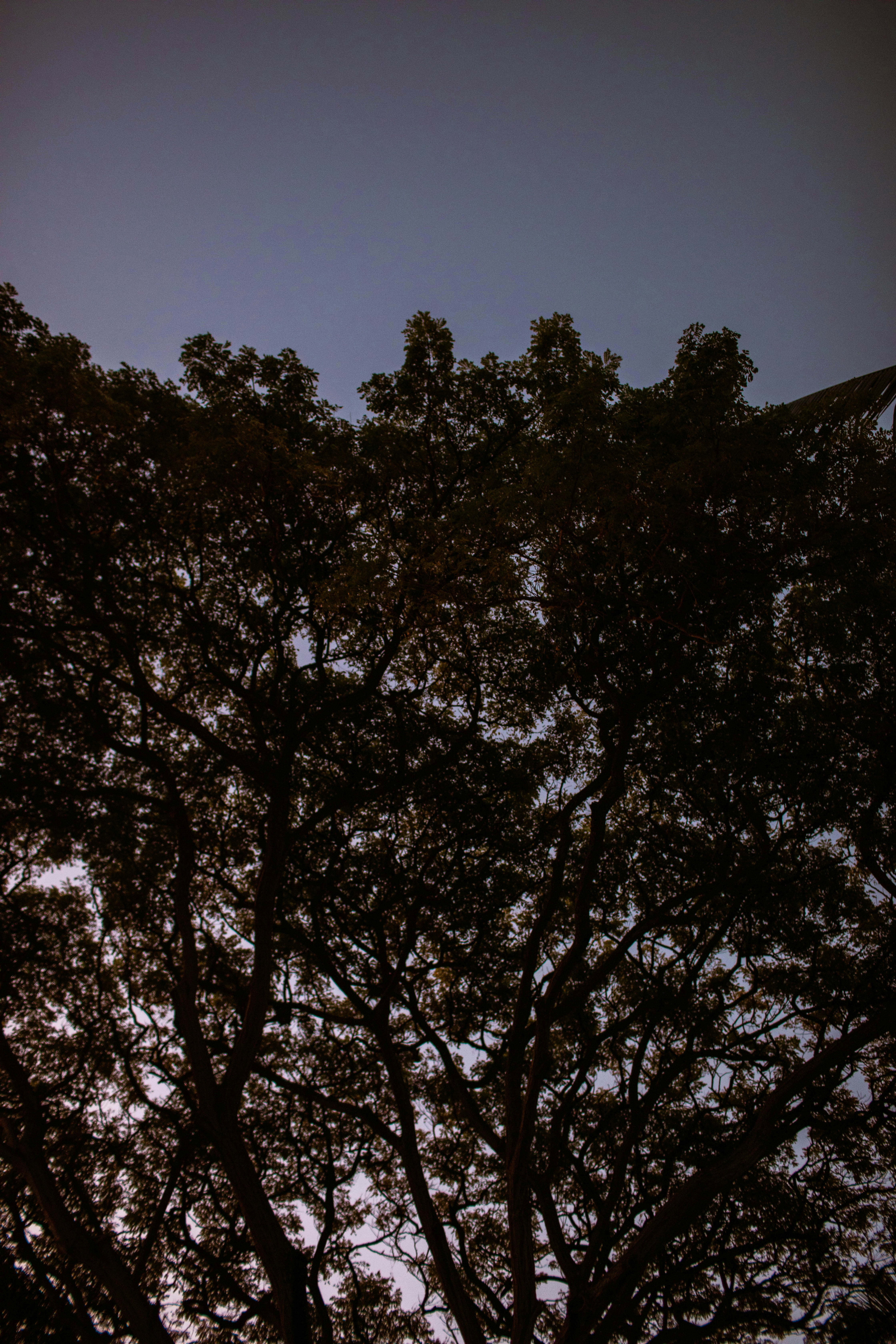 Photo by benjamin_deyoung