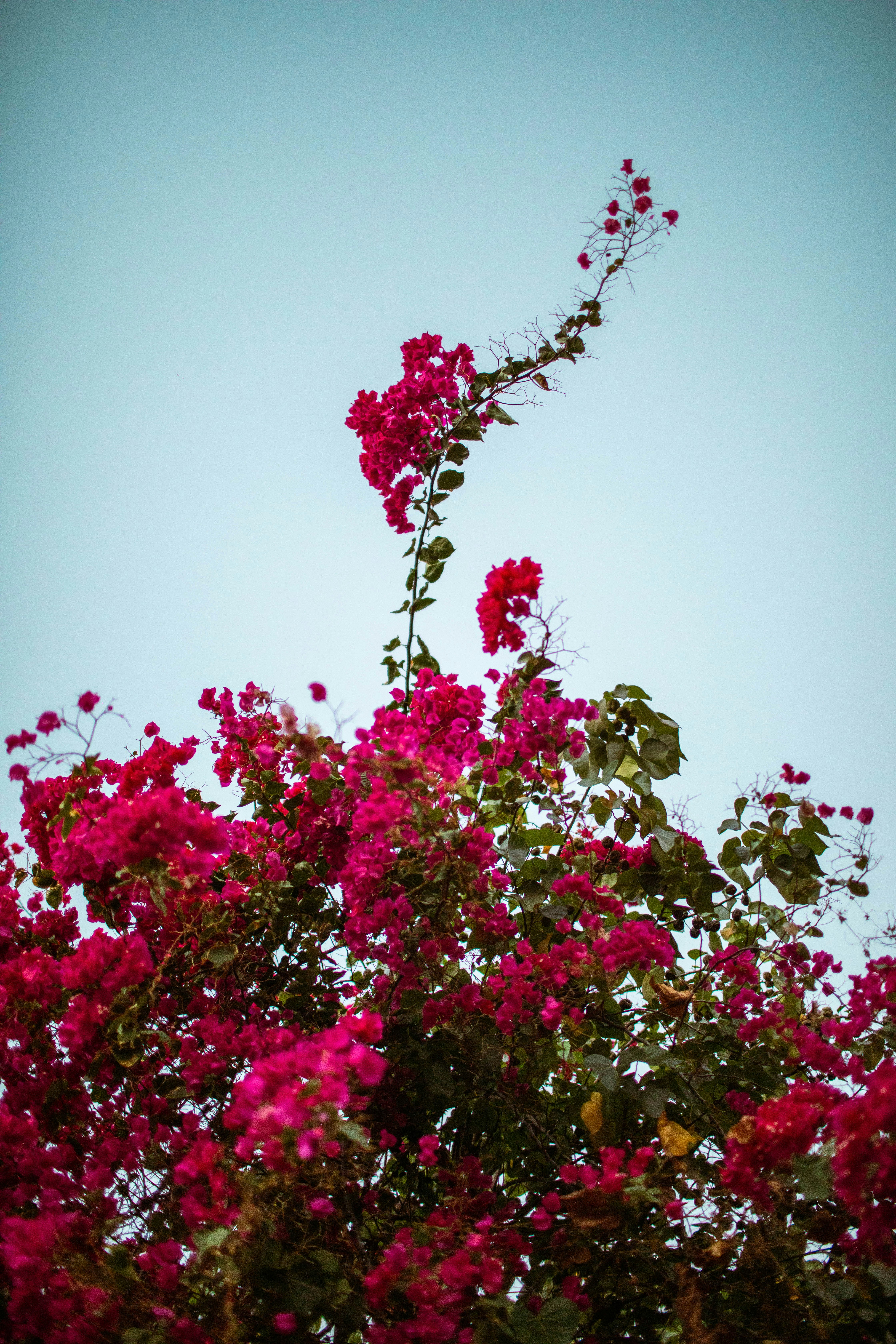 Photo by benjamin_deyoung