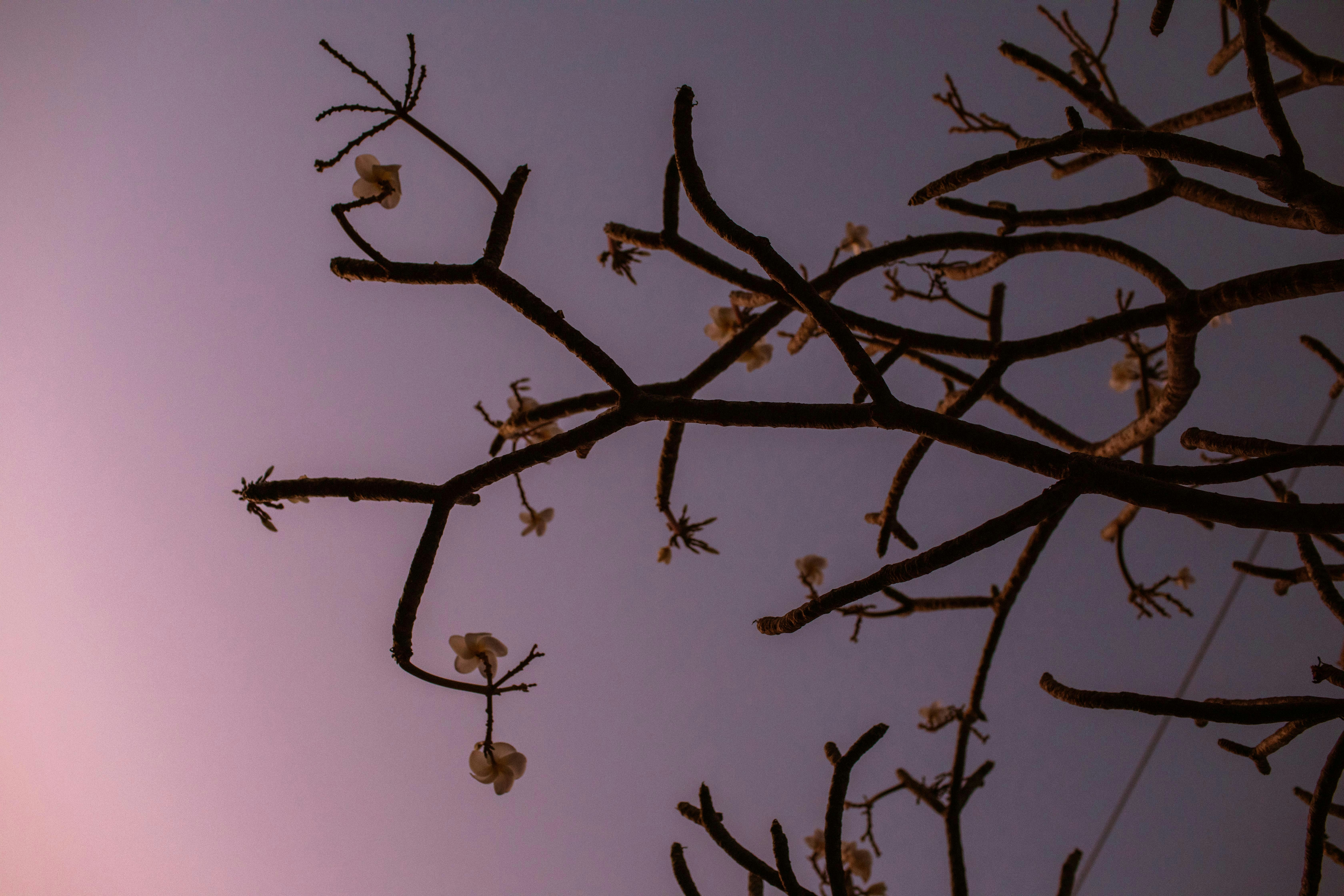 Photo by benjamin_deyoung