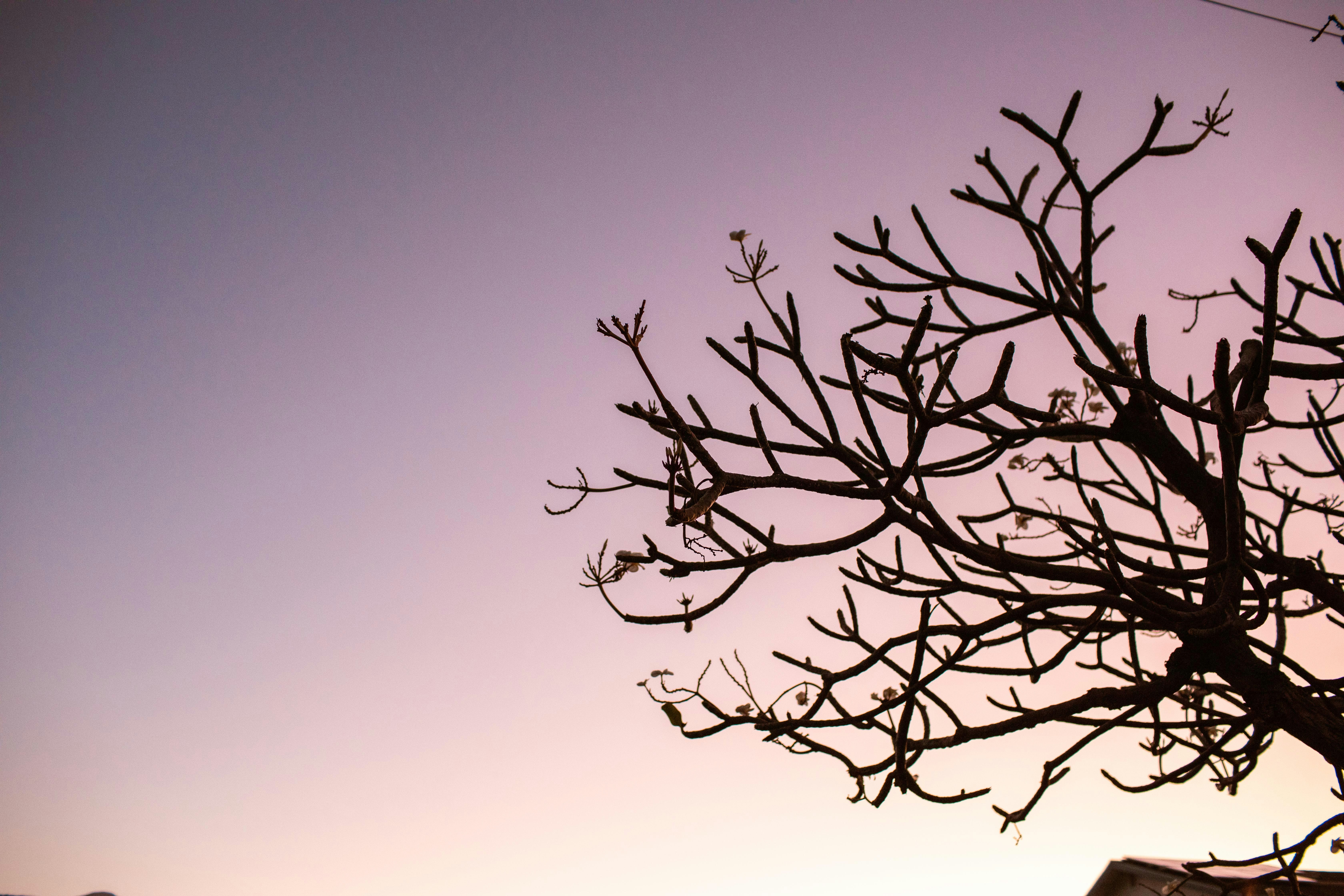 Photo by benjamin_deyoung