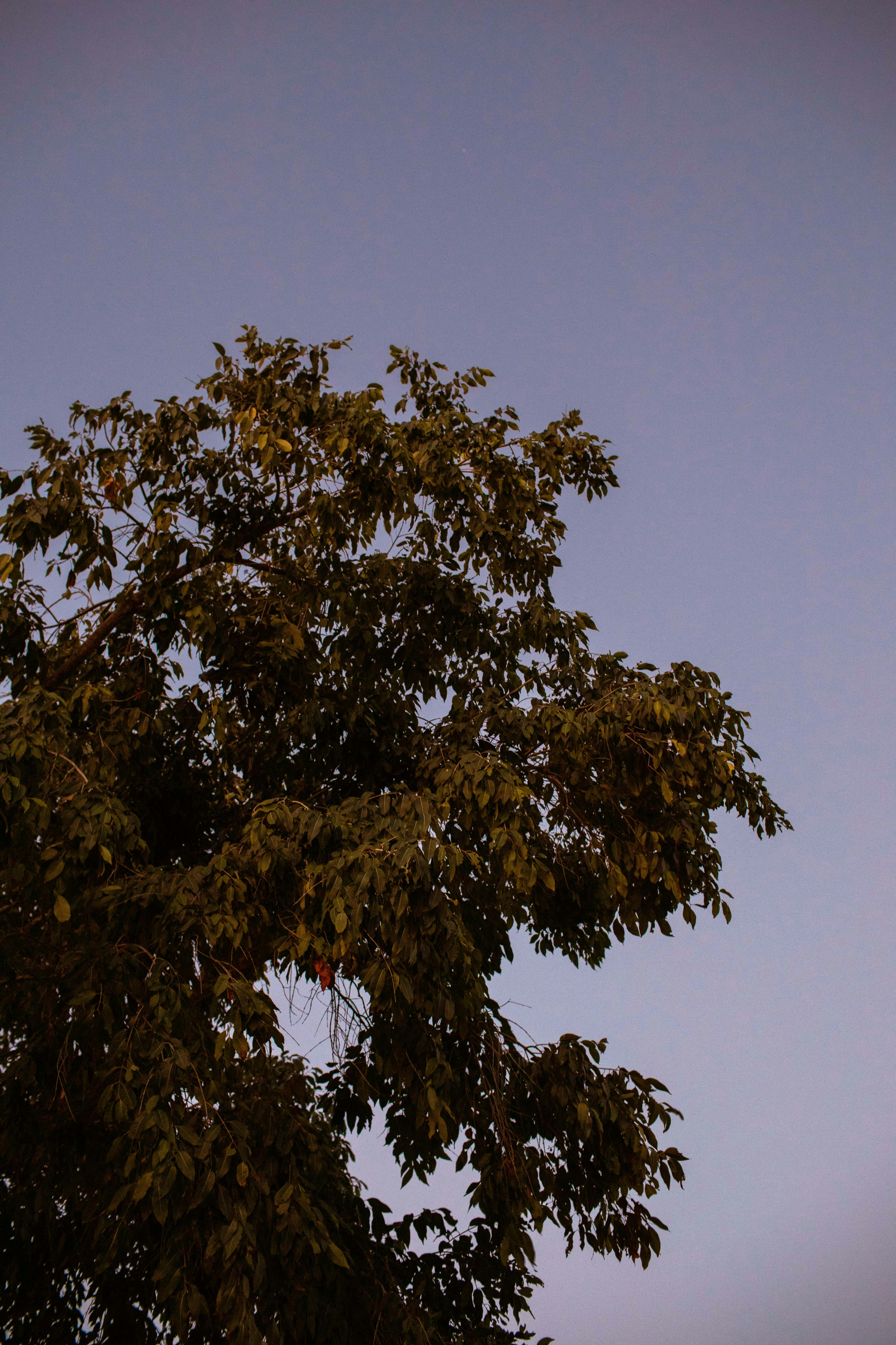 Photo by benjamin_deyoung