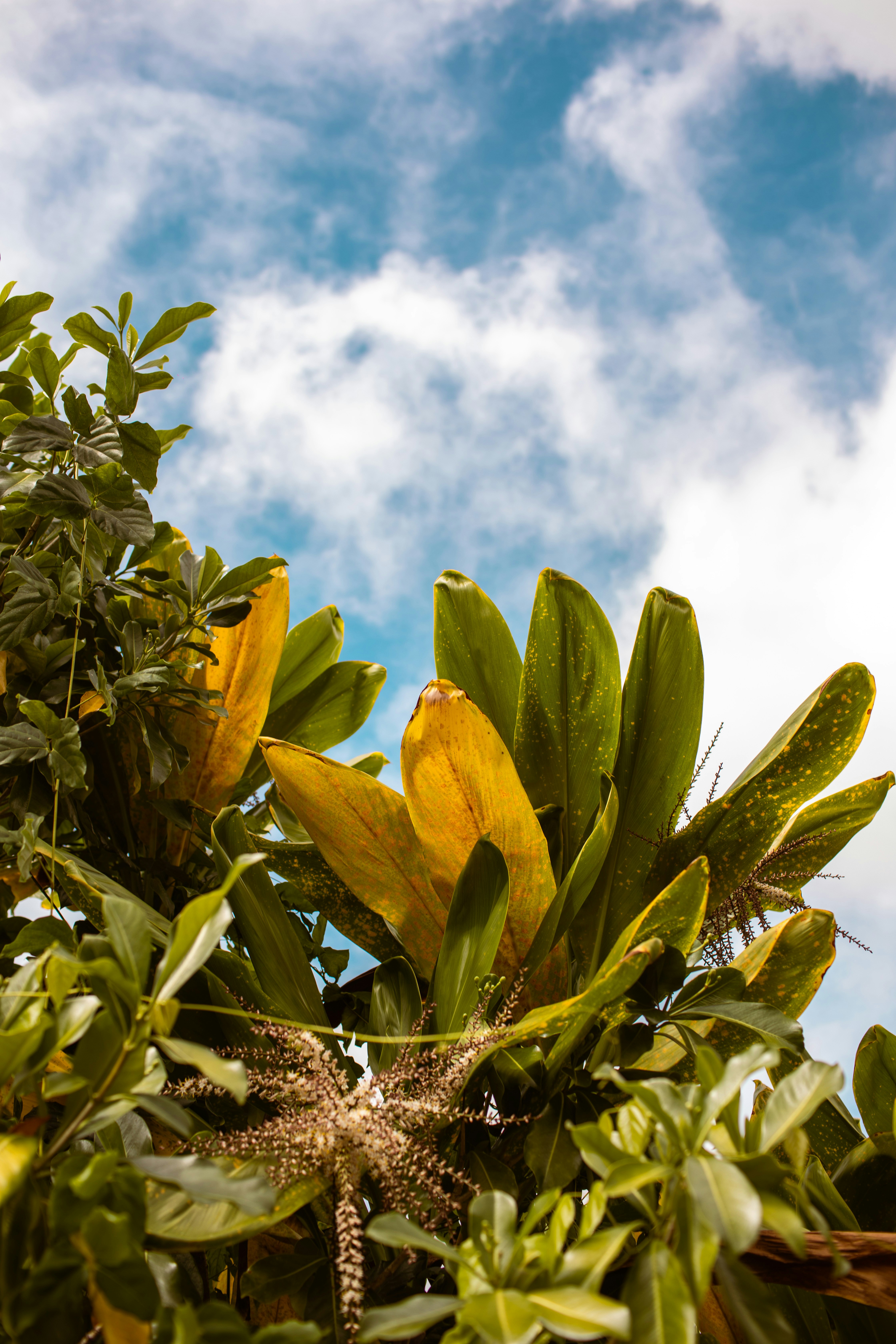 Photo by benjamin_deyoung