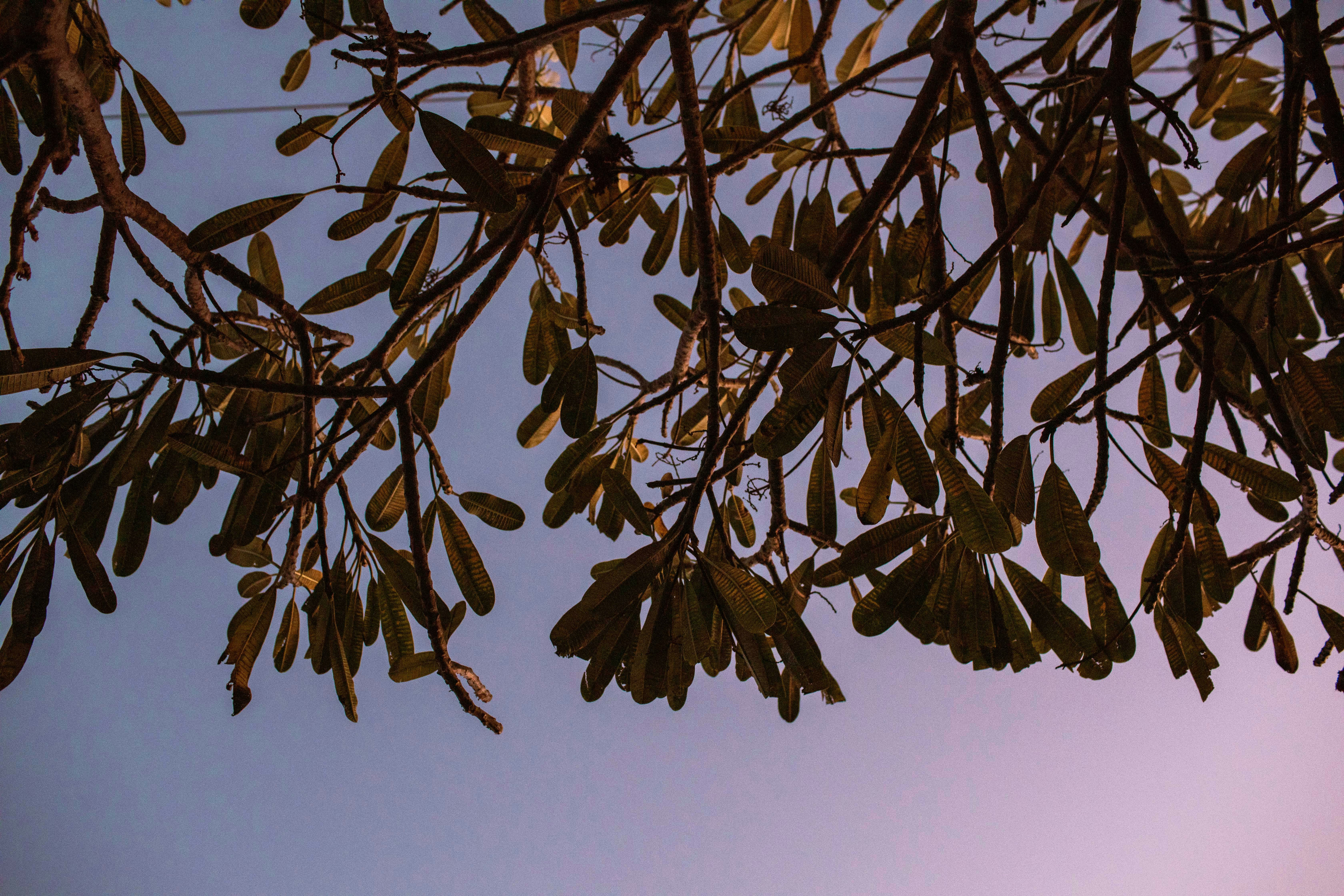 Photo by benjamin_deyoung