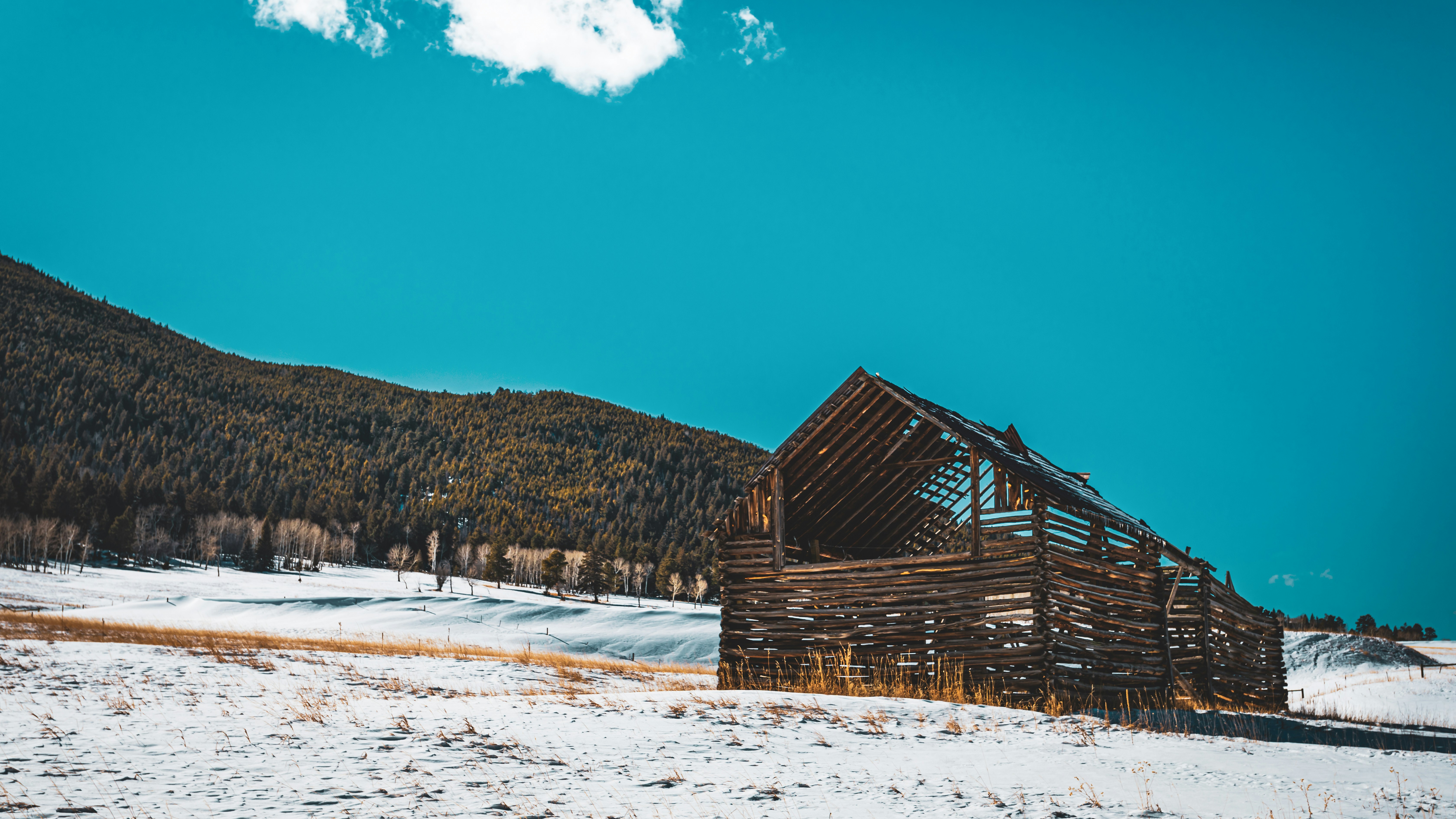 Photo by photosoflogan