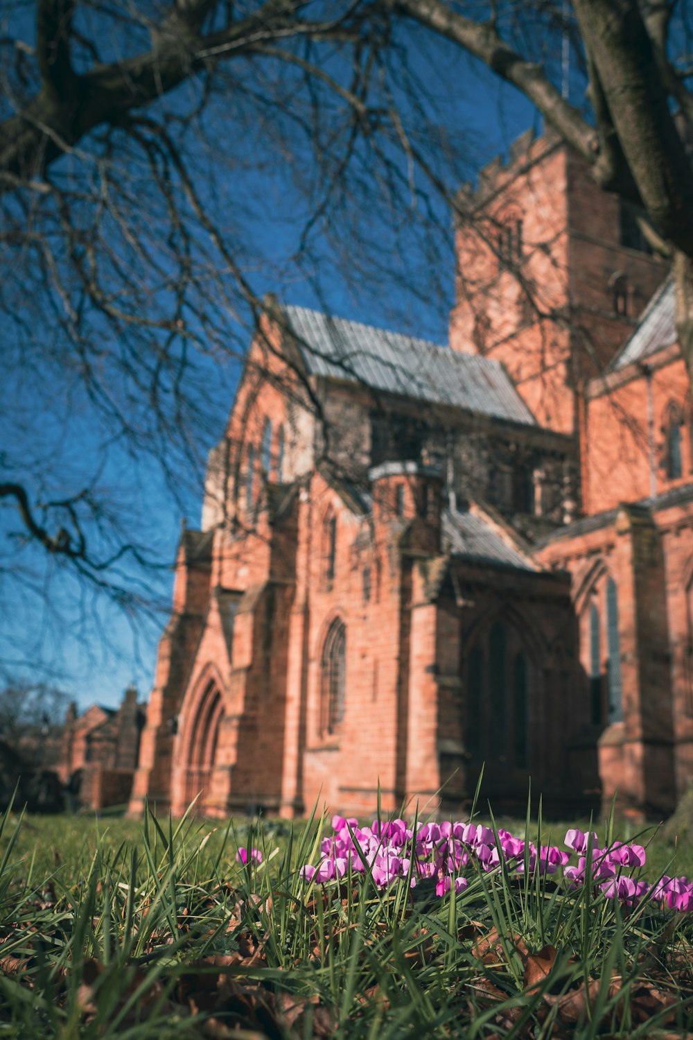 a church with a bunch of purple flowers in front of it