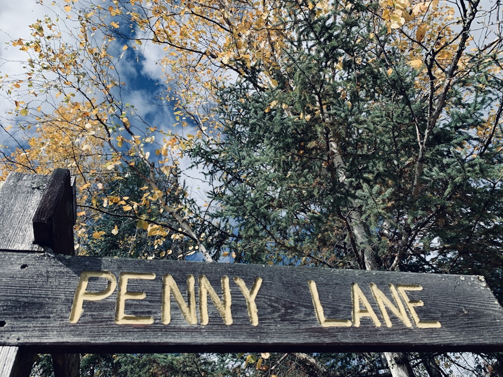 a close up of a wooden sign with trees in the background