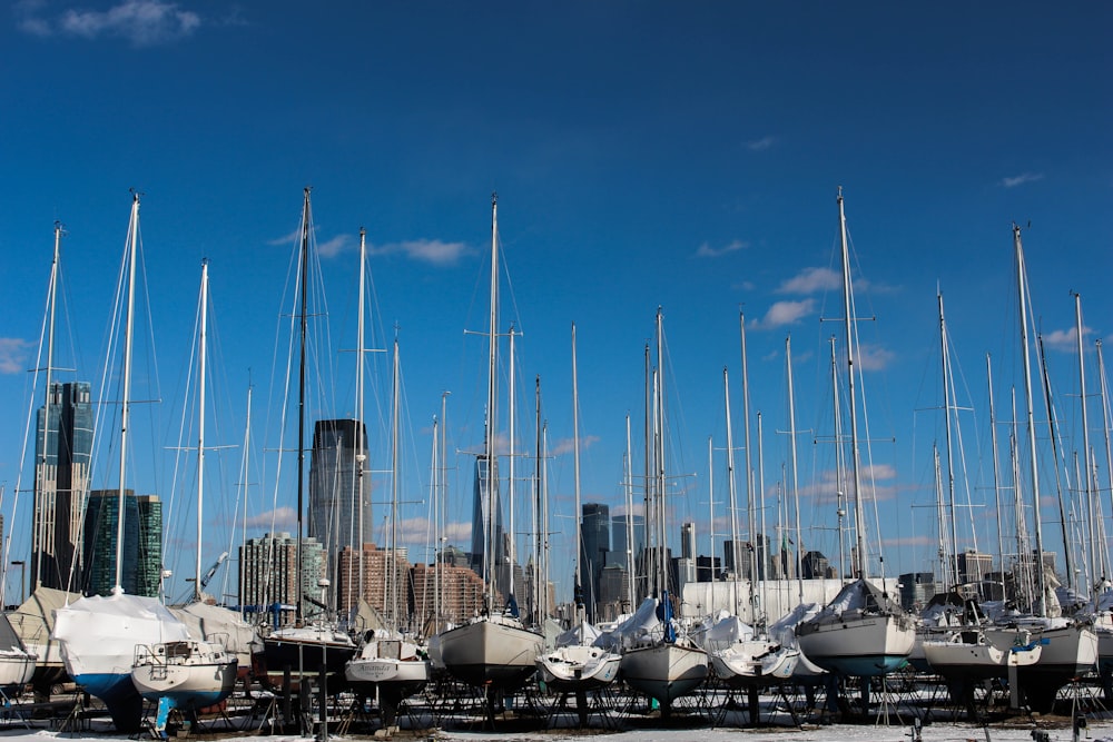 a group of sailboats docked in a harbor