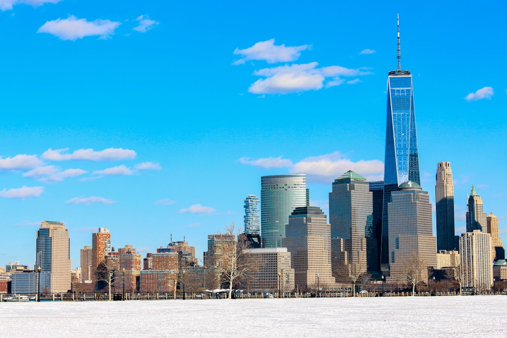 a view of a large city with tall buildings