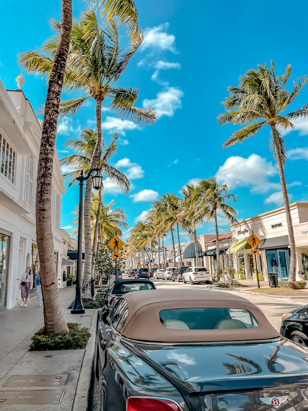 a street lined with palm trees and parked cars