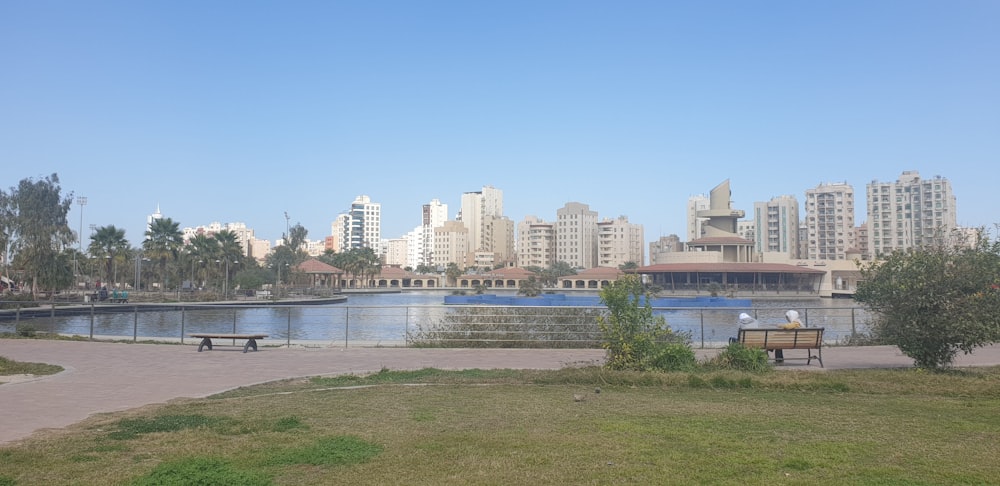 Un parque con un banco y un cuerpo de agua frente a una ciudad