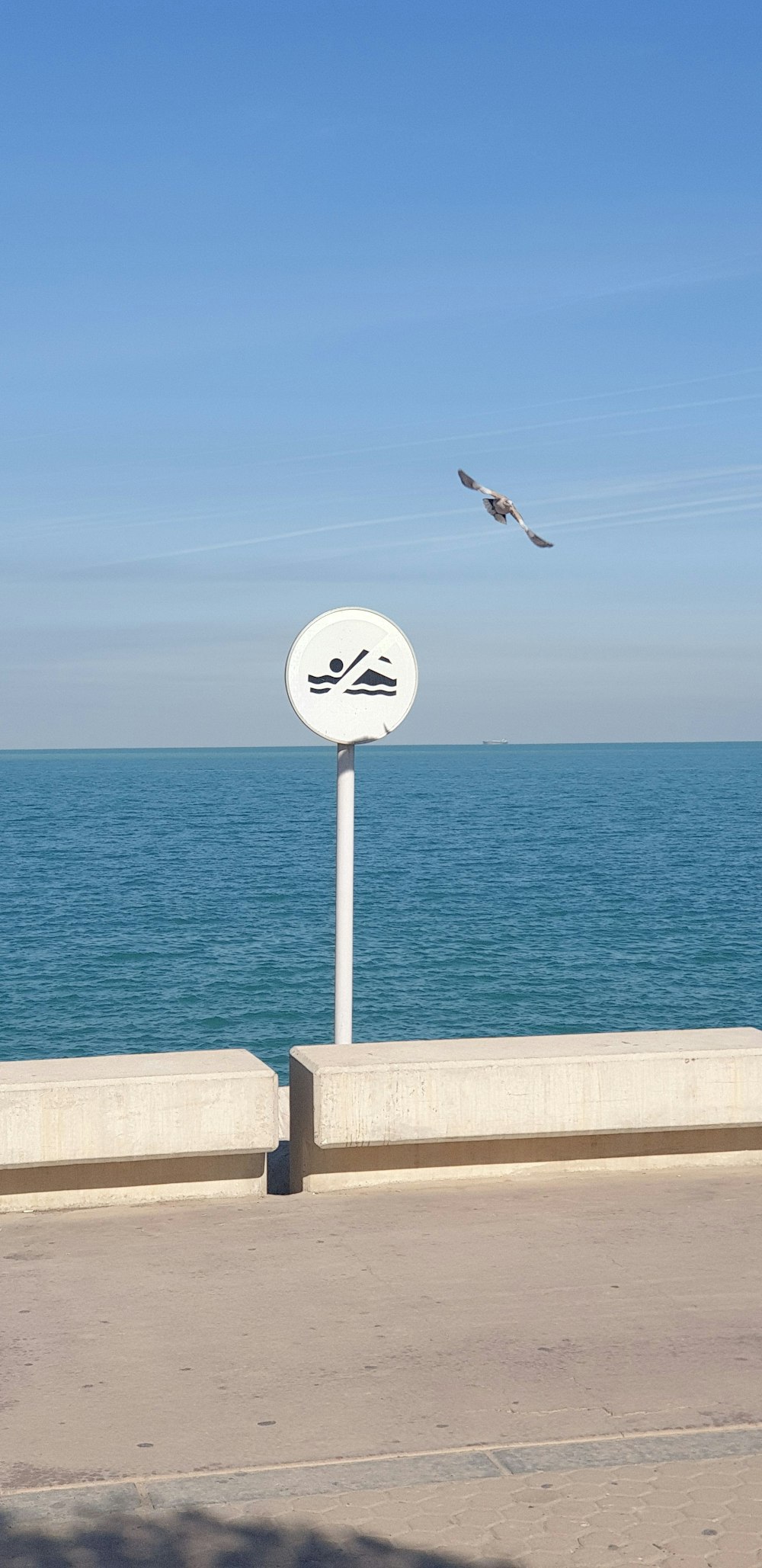 a bird flying over a sign on the side of a road