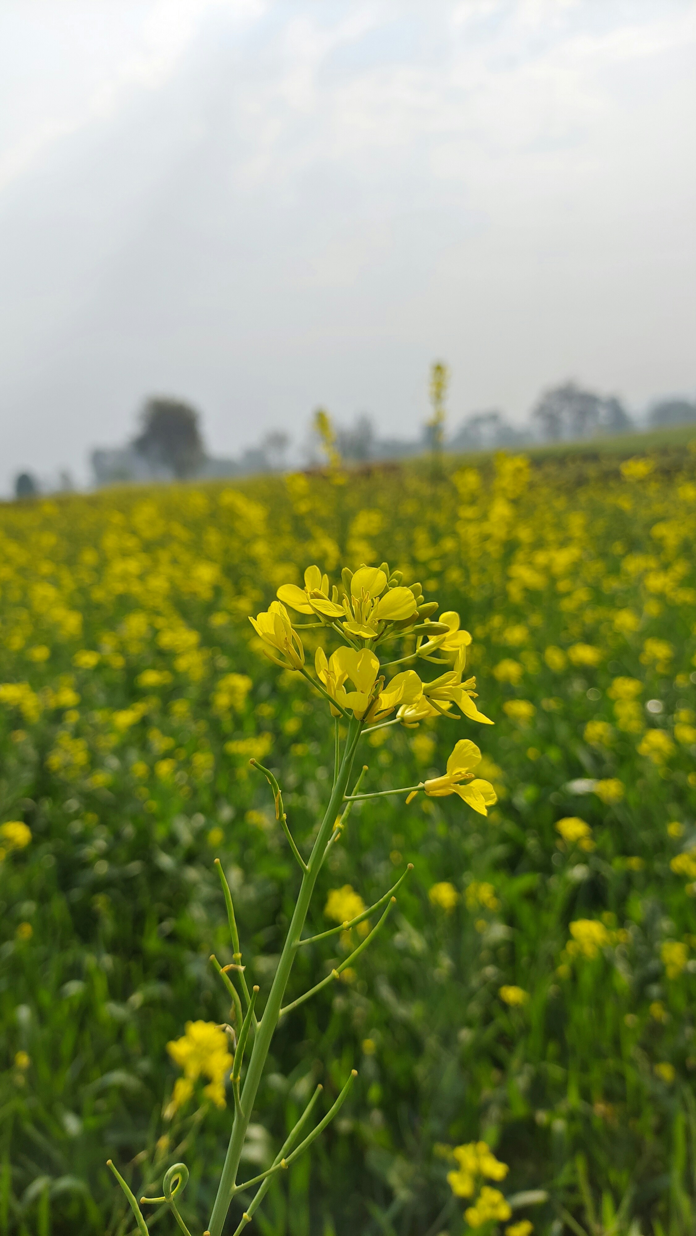 Photo by dhanu_babu