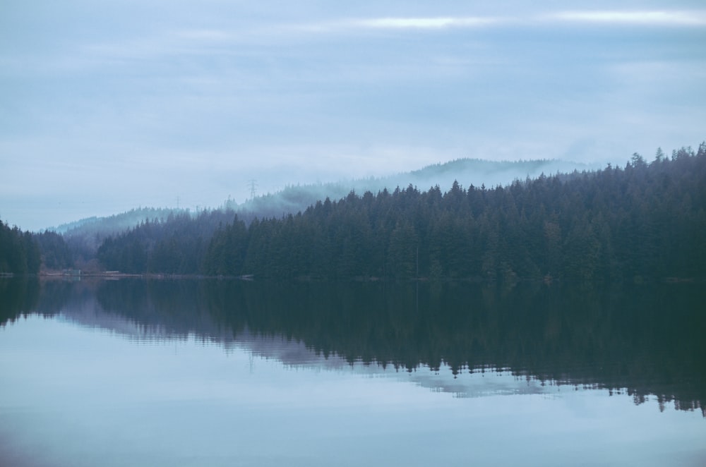 Ein Gewässer umgeben von einem Wald