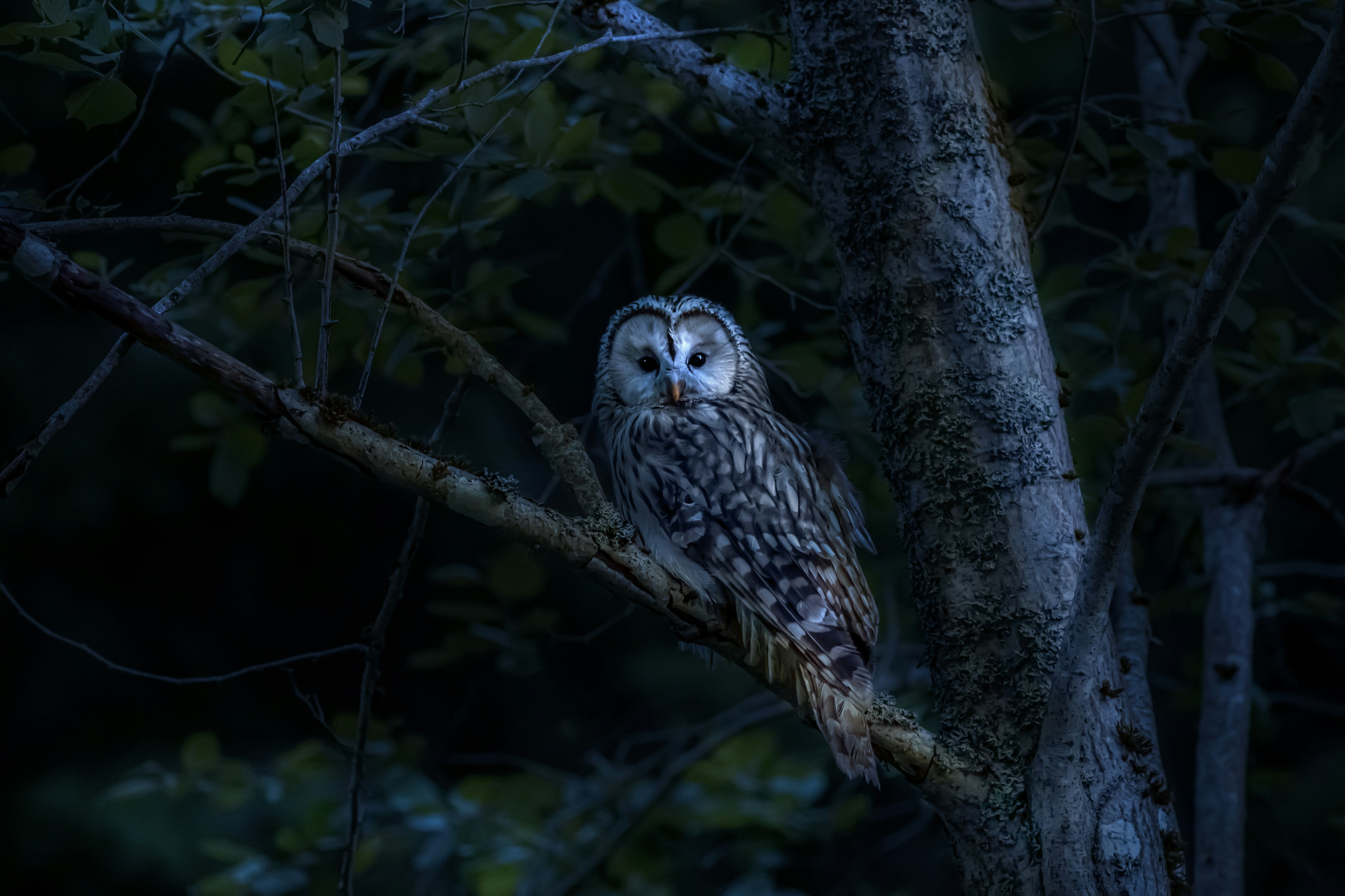 Photo by erik_karits