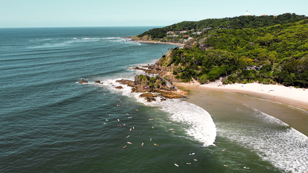 an aerial view of a beach with people in the water