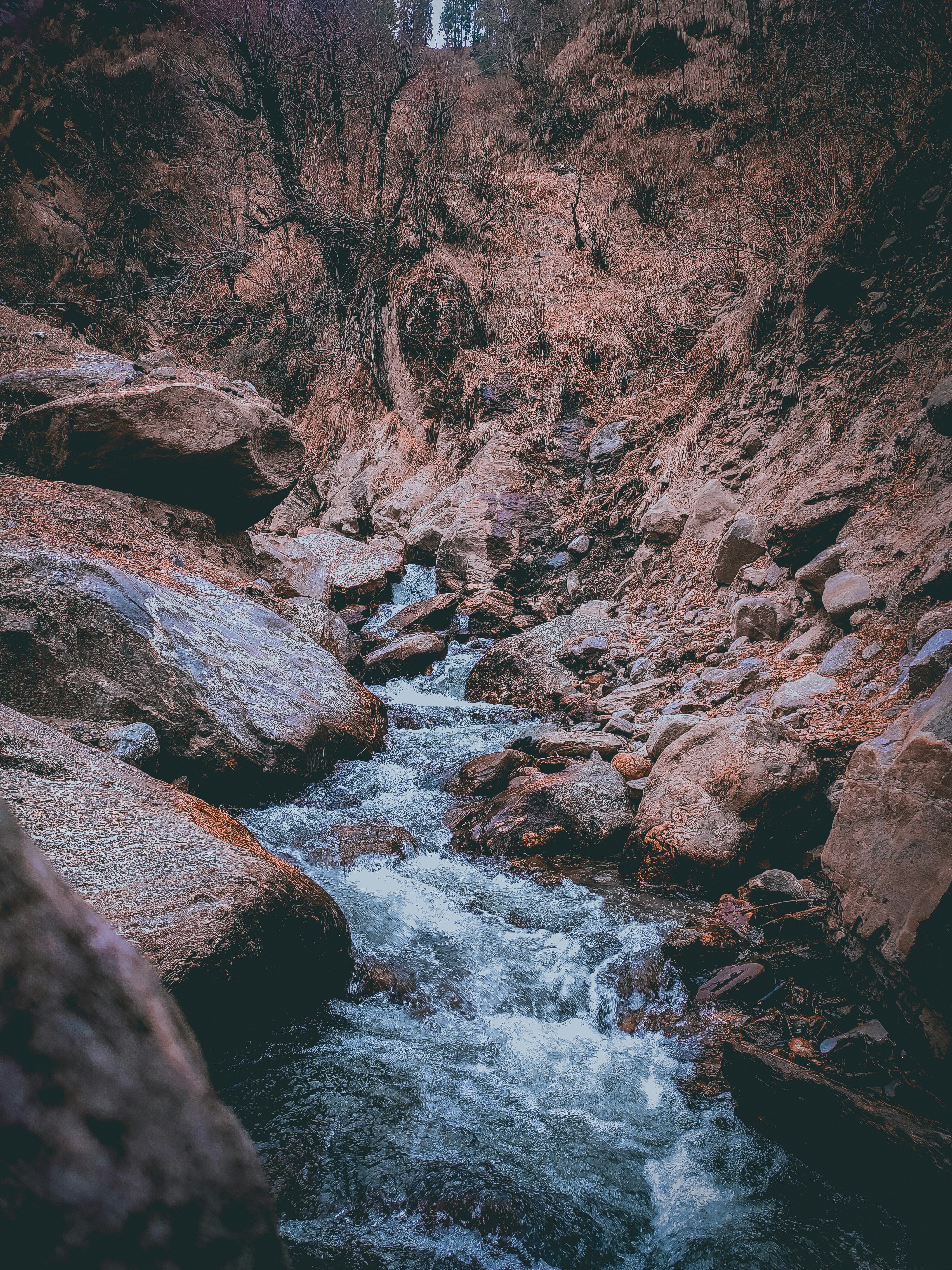 river rock wallpaper, wallpaper, Fossil Hunting in River Beds: A Complete Guide 4