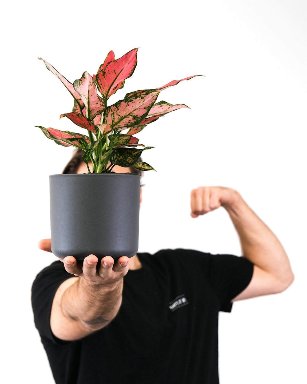 a man holding a potted plant in his hands