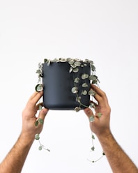 FICA payroll savings program for business owners