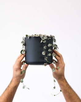 a person holding a pot with a plant growing out of it