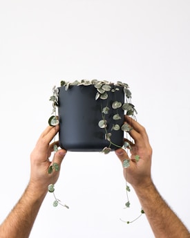 a person holding a pot with a plant growing out of it