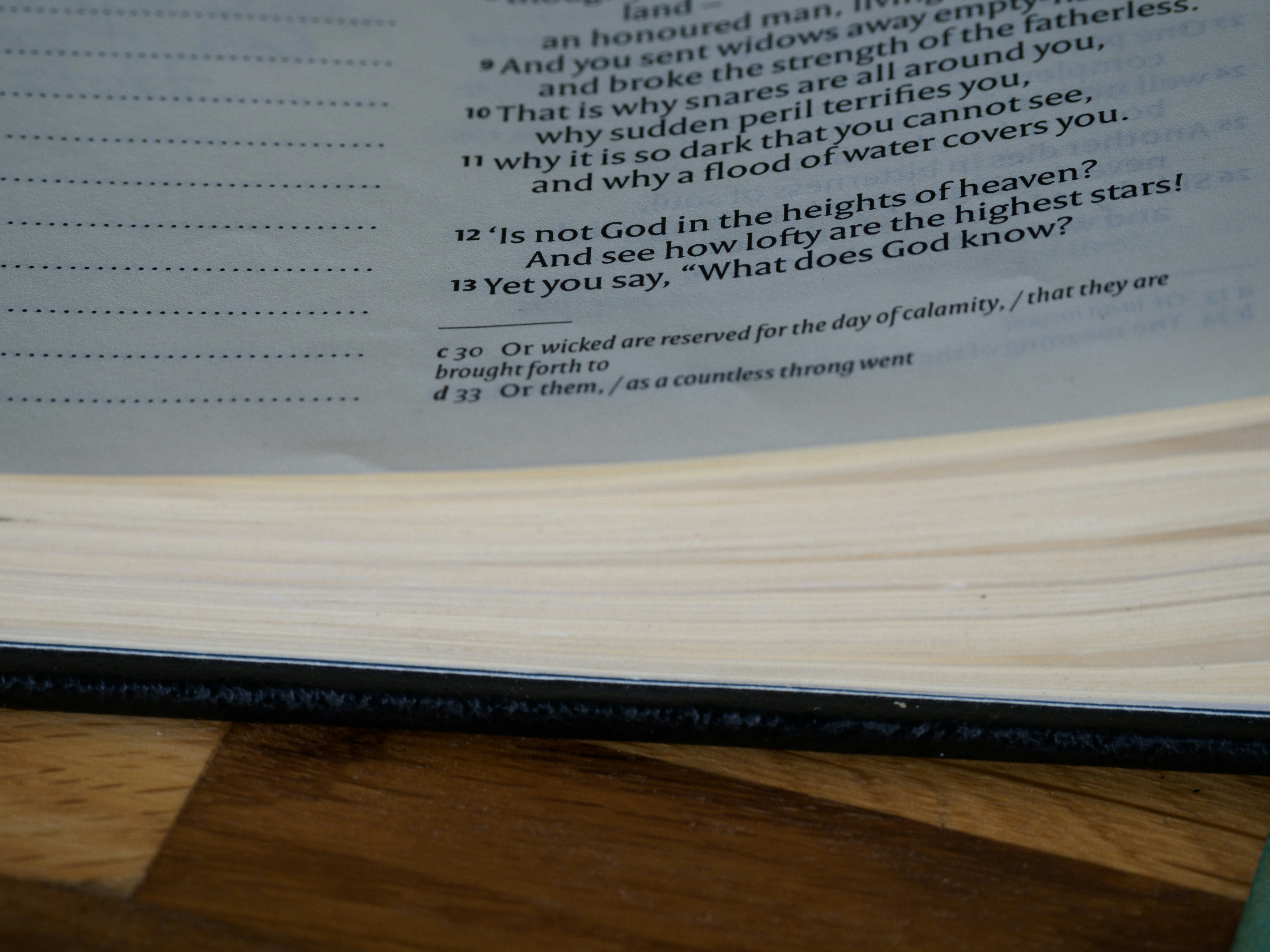 close up, bokeh, macro, blur, blurred background, close focus, bible, old testament, hebrew bible, christian, judaism, history, text, reading, bible study, devotions, text, NIV, New International Version, type, typography, canon, christianity, holy scripture, holy bible, scripture, old testament, hebrew bible, tanakh, ketuvim, book of job, job, אִיּוֹב, theodicy, satan, the accuser, הַשָּׂטָן, <br />